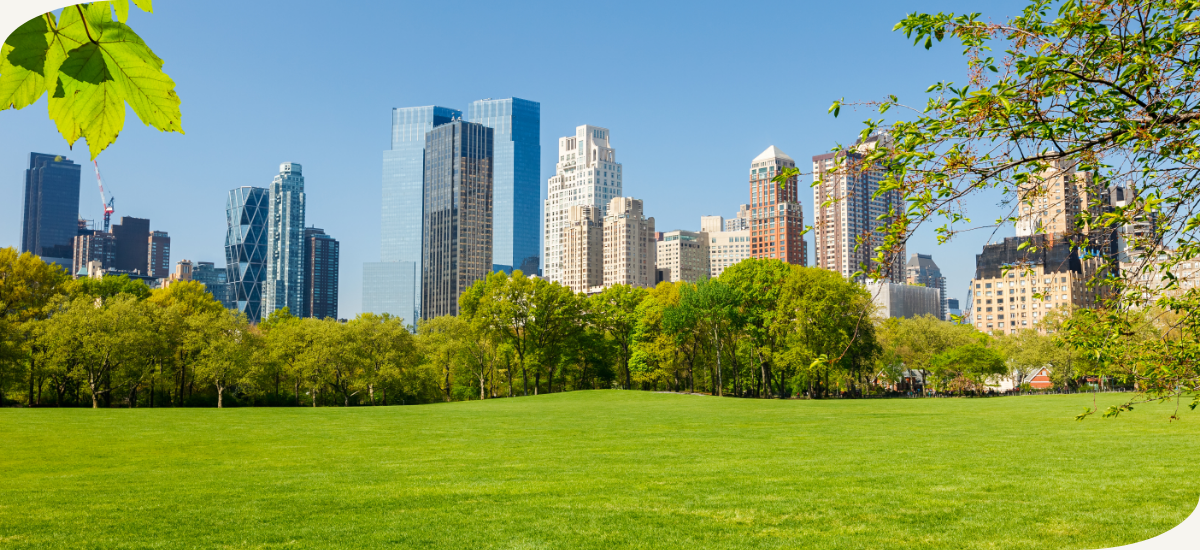 Sheep Meadow Central Park