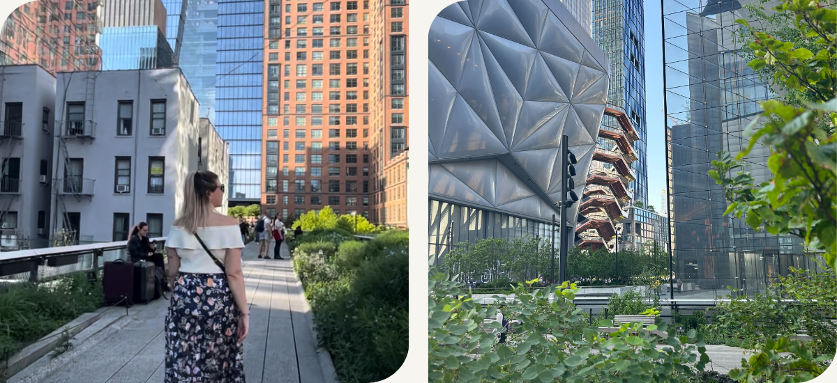 The high lane New York