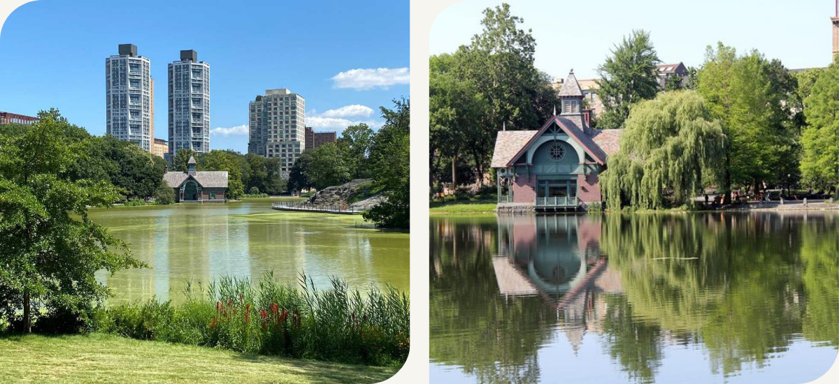 Harlem Meer Central Park