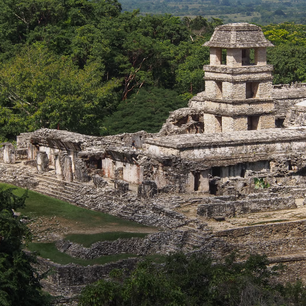 El palacio de palenque
