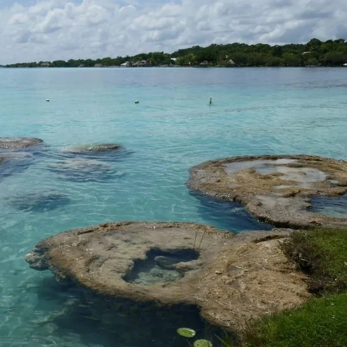stromatolites in Bacalar
