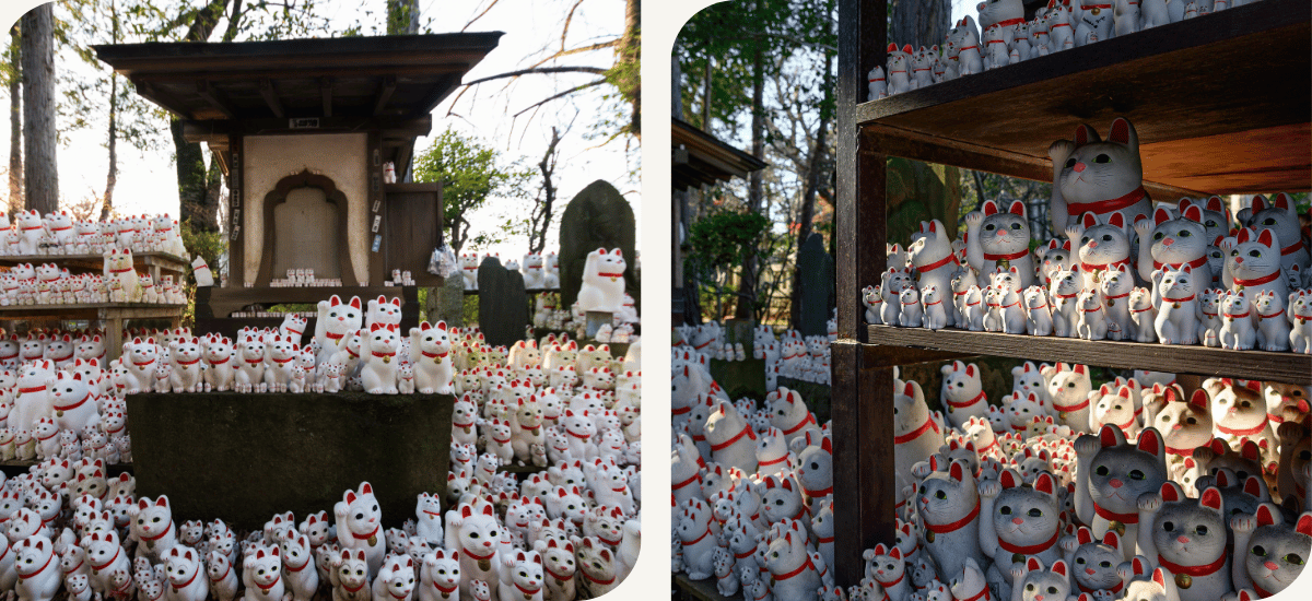 Lucky Cat temple - Gotokuji