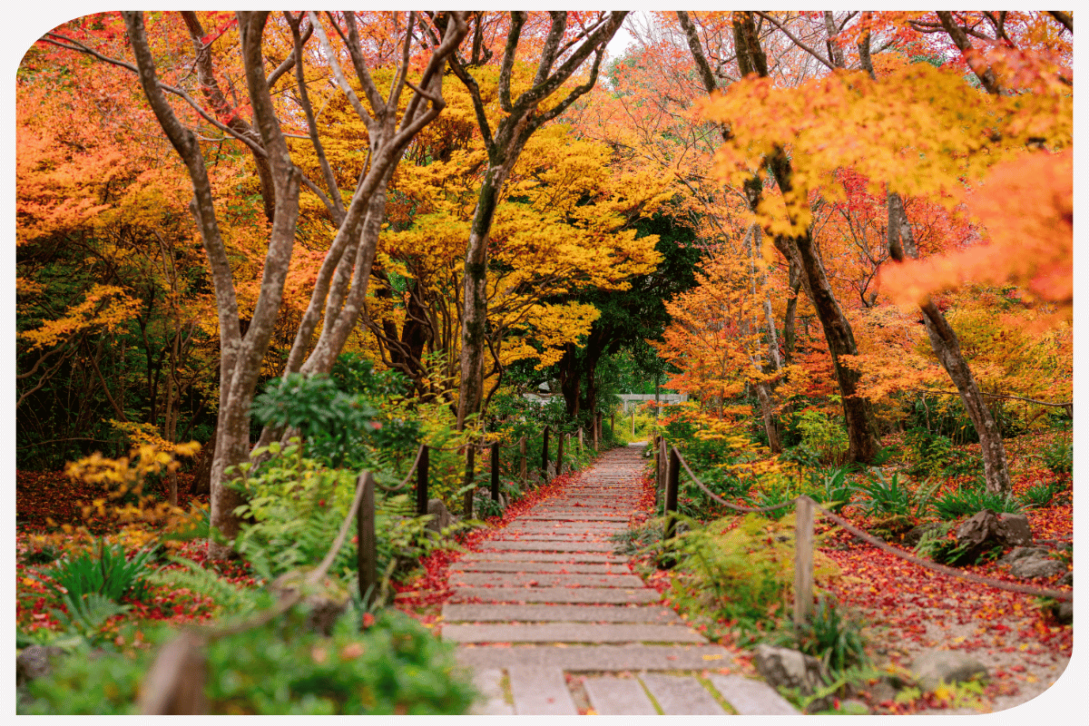 Philosopher’s Path - Kyoto