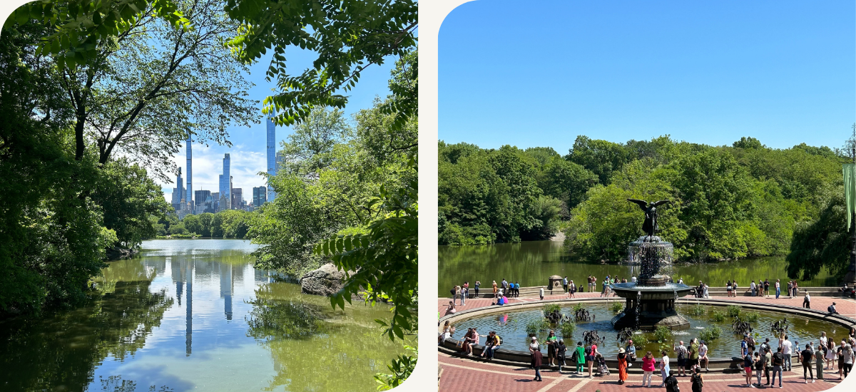 Central Park New York