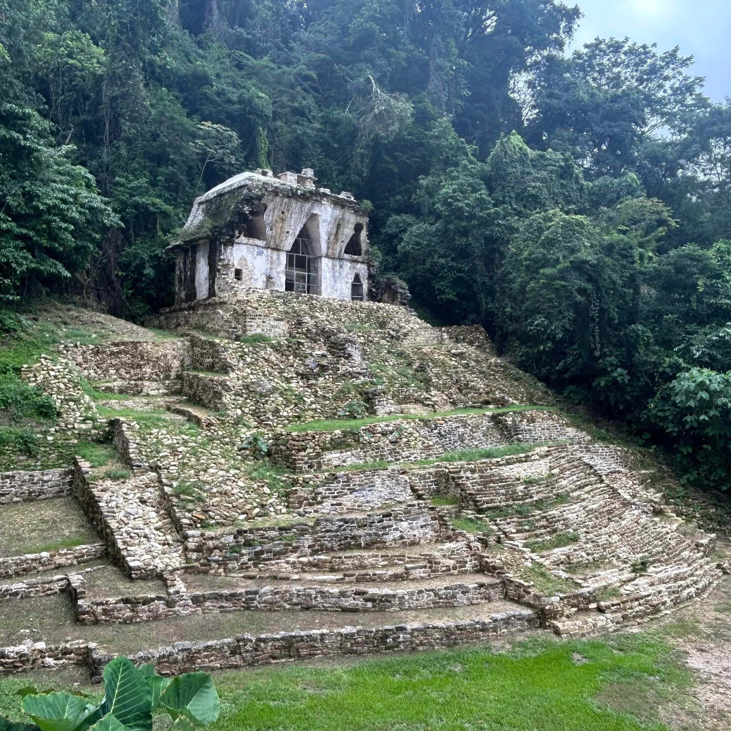 Temple of the skull - Palenque