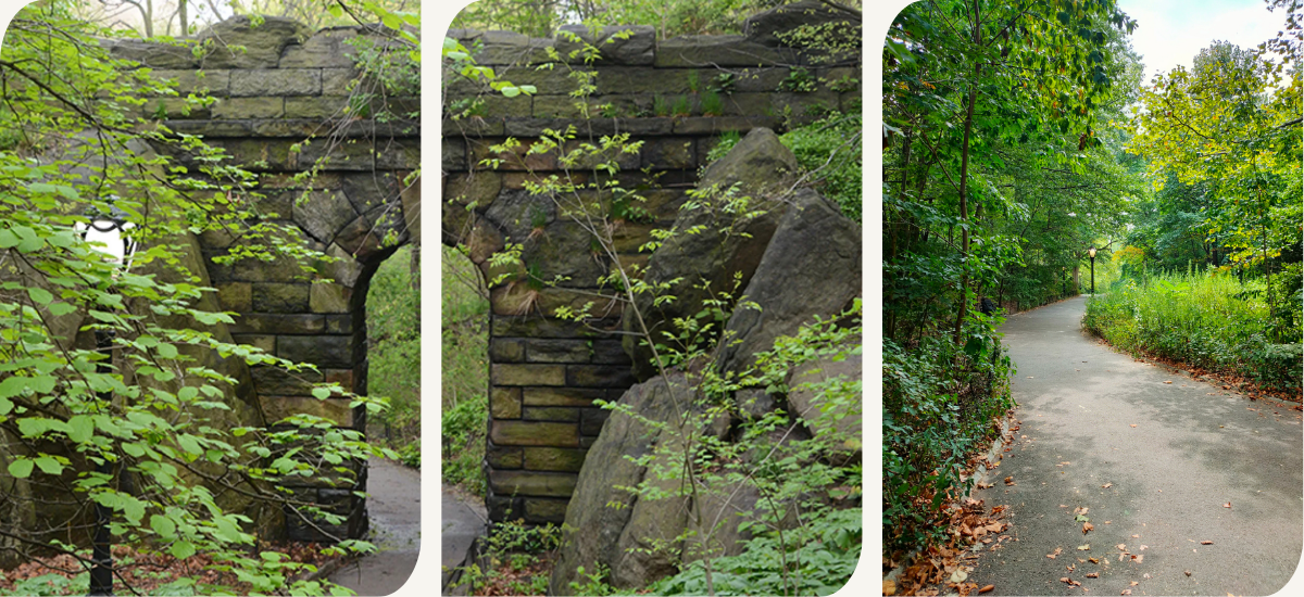 The Ramble Central Park