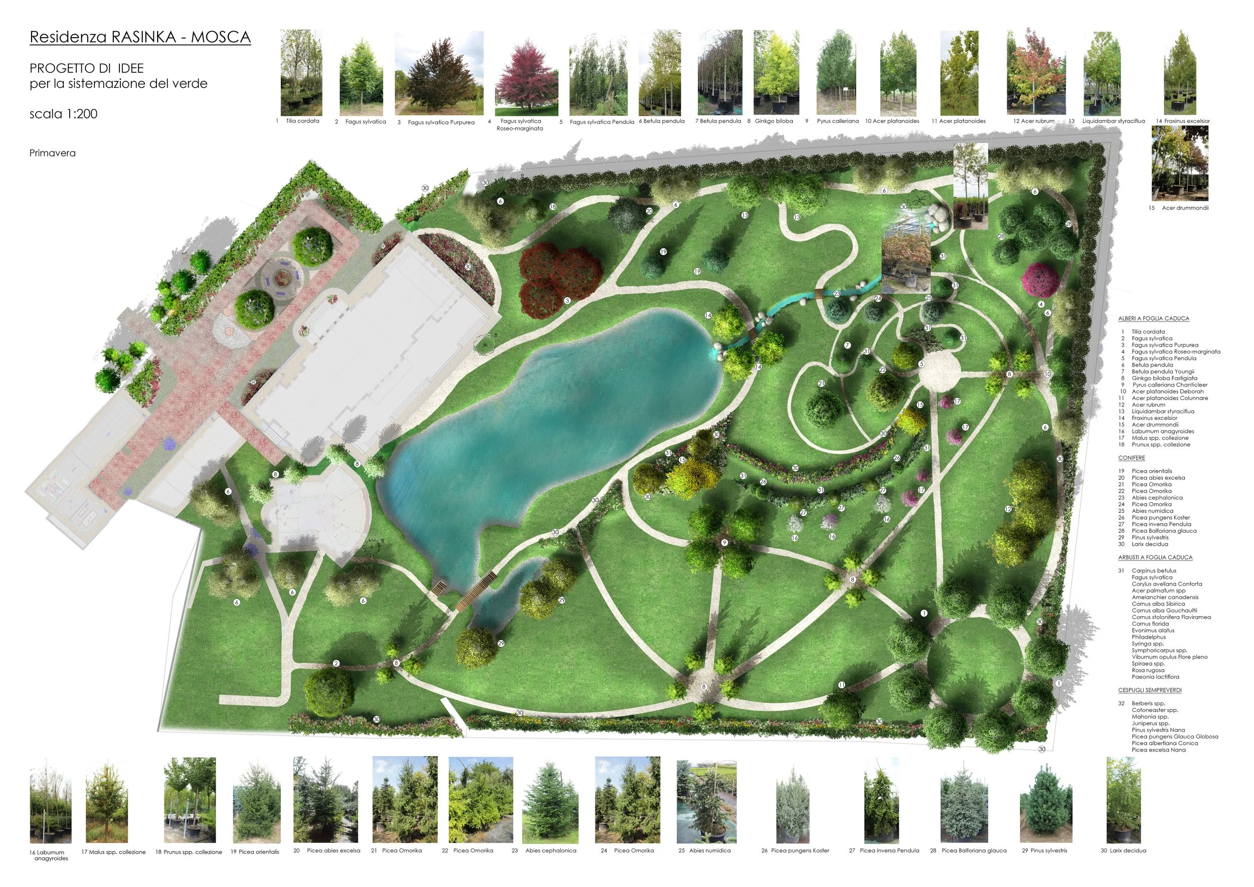 planivolumetrico_primavera_A1 con foto di alberi.jpg