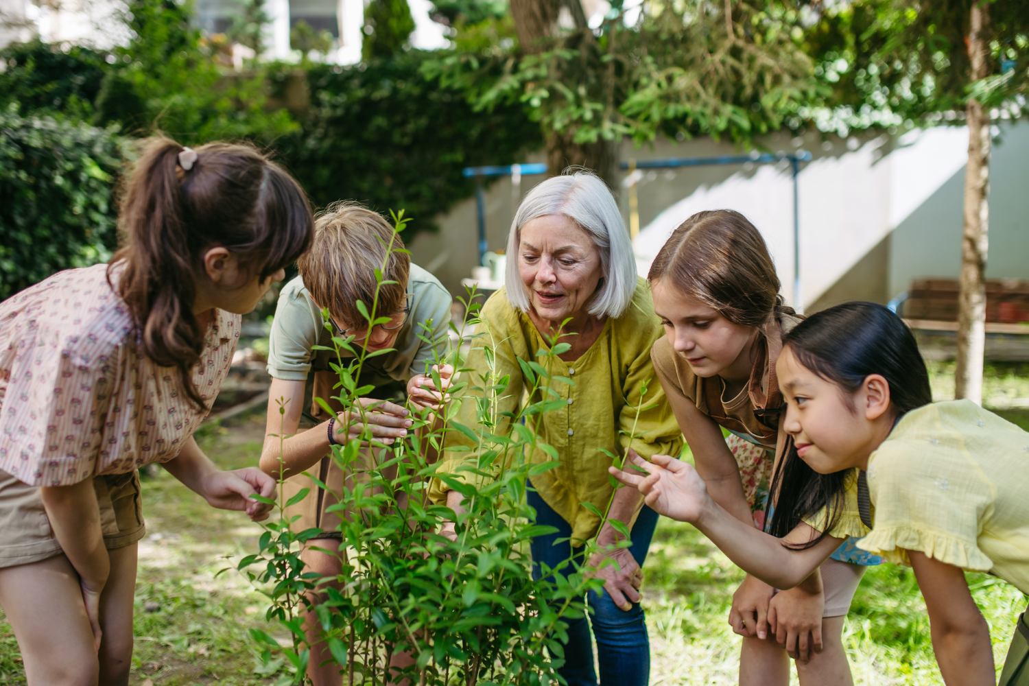 A group of children and an elderly woman are examining a small plant in a garden.