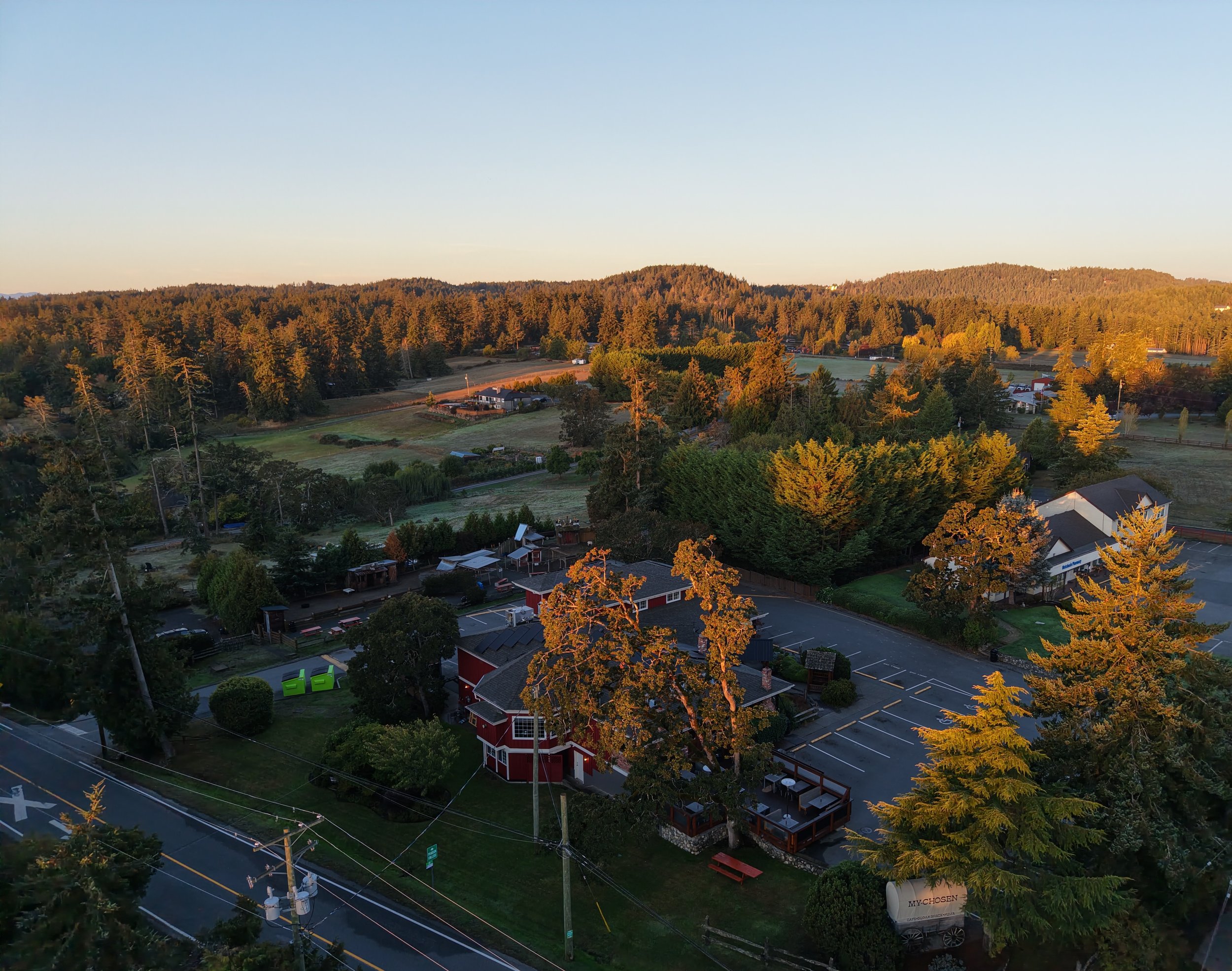 Mychosen Aerial 1.jpg