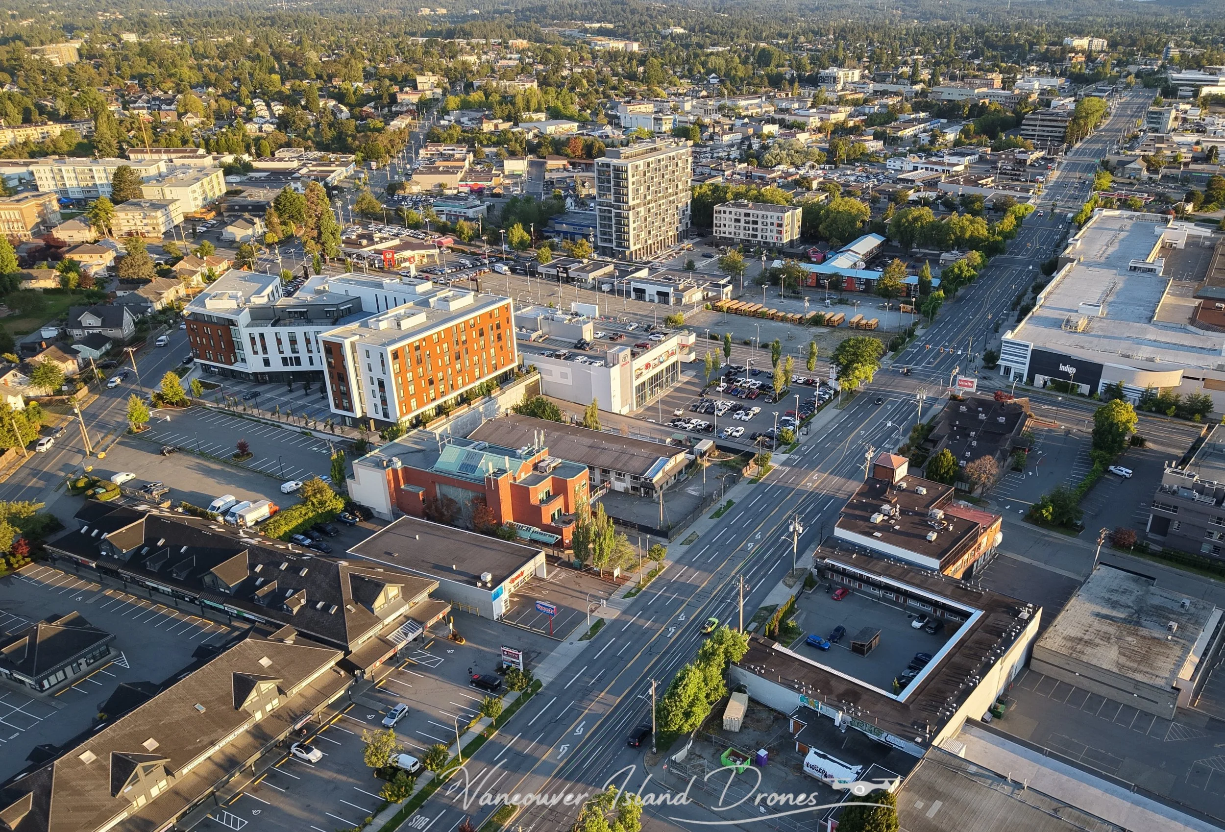 Speedy 3.JPG