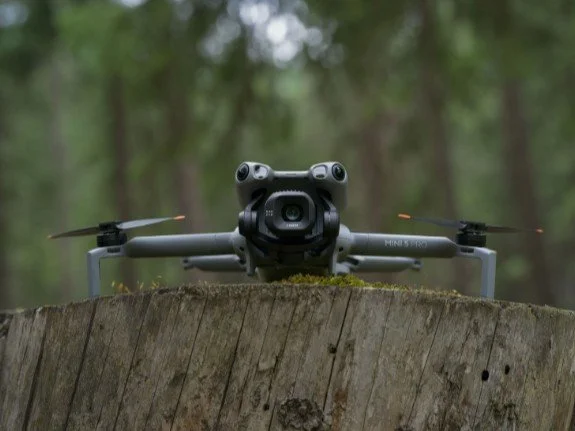 Compact drone resting on a tree stump in a forest, ready for takeoff.