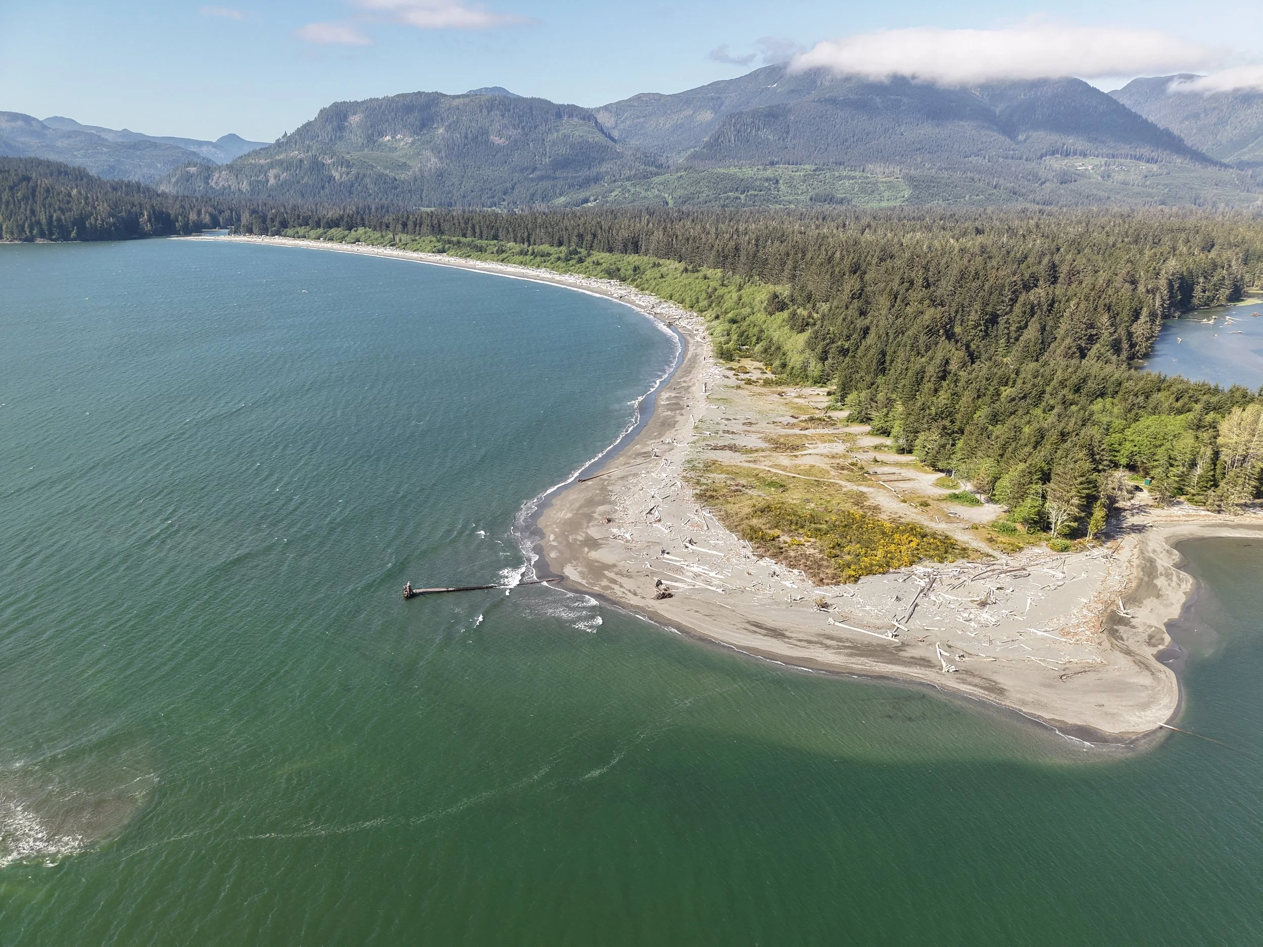 Aerial view of Pacheedaht Beach near Port Renfrew, photographed for Arize, showing the curved shoreline, forest and mountains.