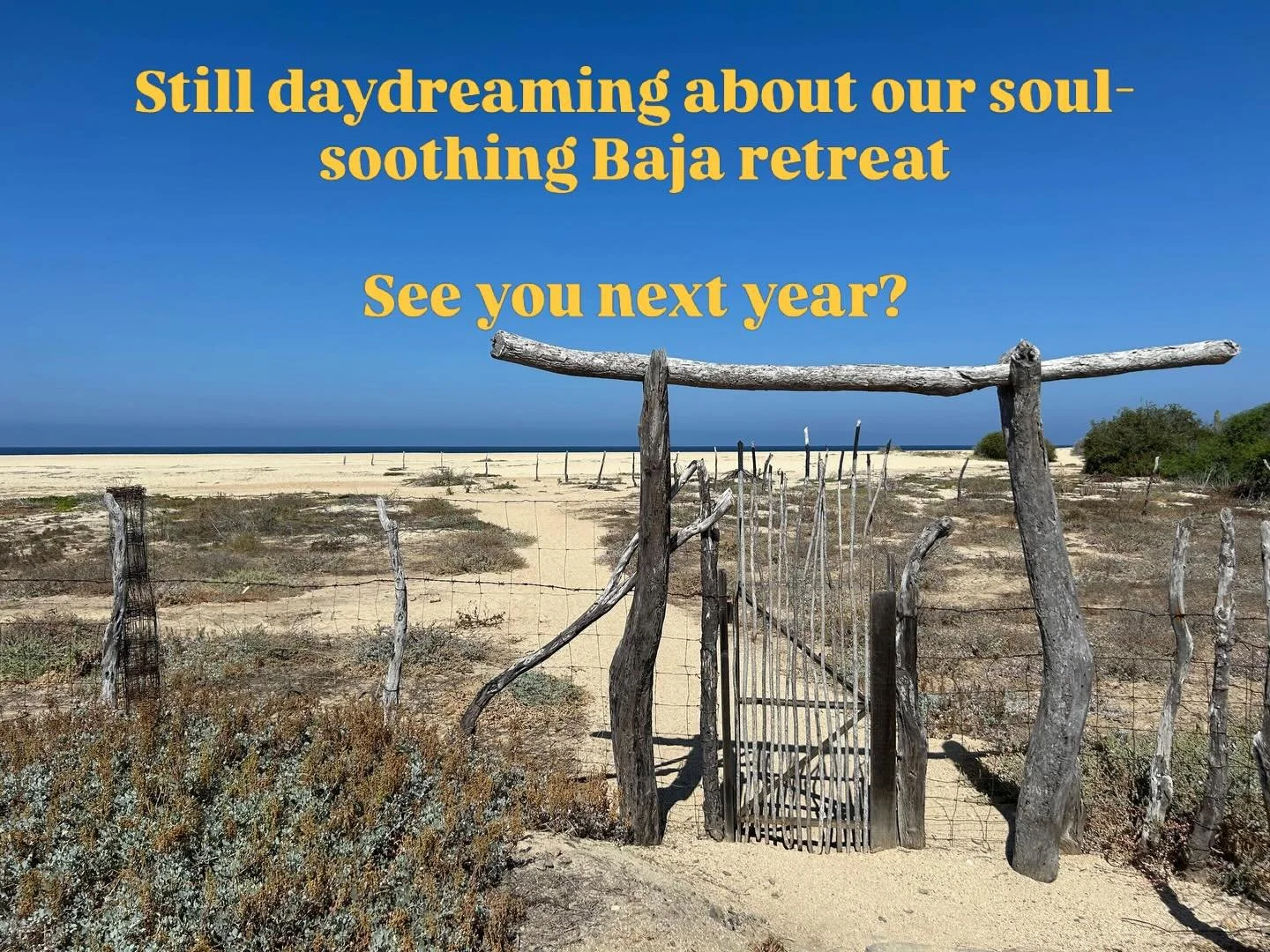 🌞 

Grounded and grateful. That&rsquo;s what a week of daily yoga, community, reflection, belly laughs, whale sightings, vibrant food and relaxation @yandarayoga on the rustic Baja coast can do to you. 

Interested in joining us next year? We are al