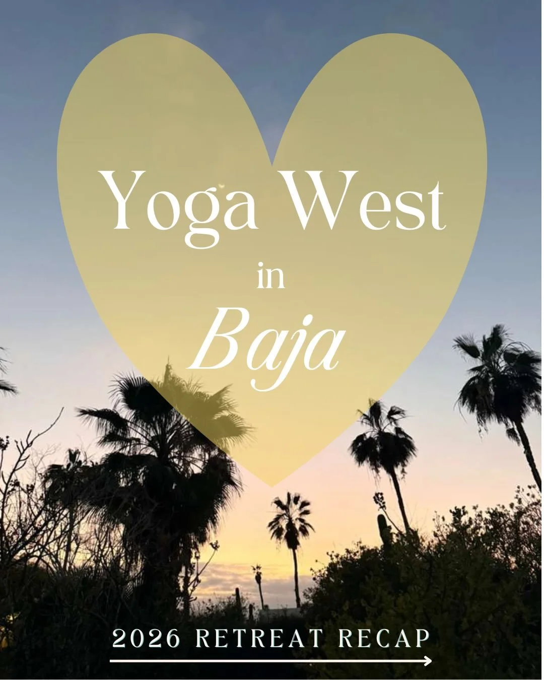 🌞🐋🧘🏽&zwj;♀️🌊🌮✨

A few weeks ago 14 of us spent 6 magical days and nights on a secluded stretch of the Pacific in Southern Baja. We gathered to set ourselves free of the routines and responsibilities of daily life so that we could shed the layer