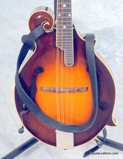 Black Bison Mandolin.jpg