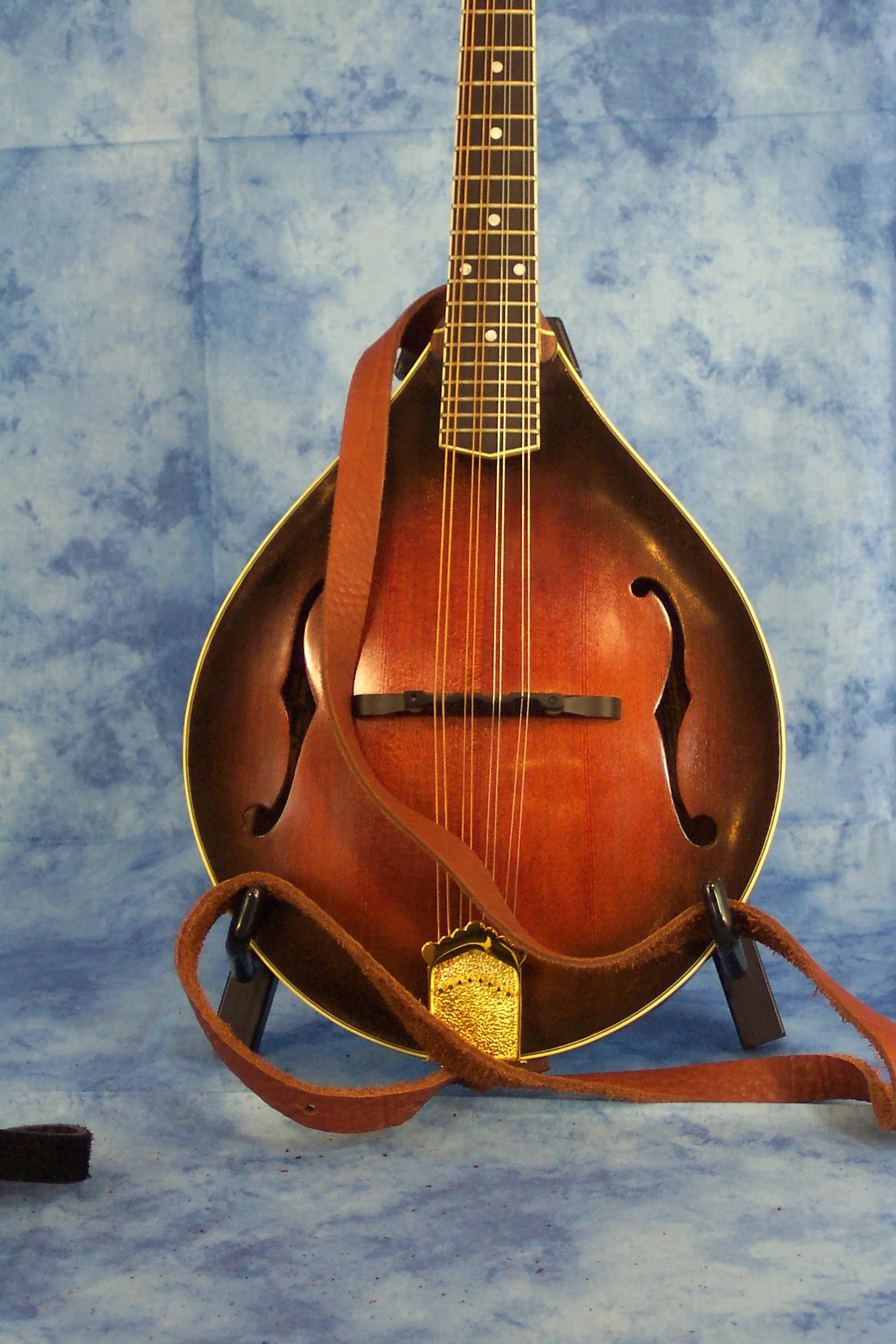 Tobacco Bison Mandolin.jpg