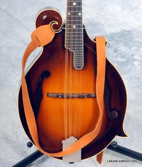 Spruce Bison Mandolin.jpg