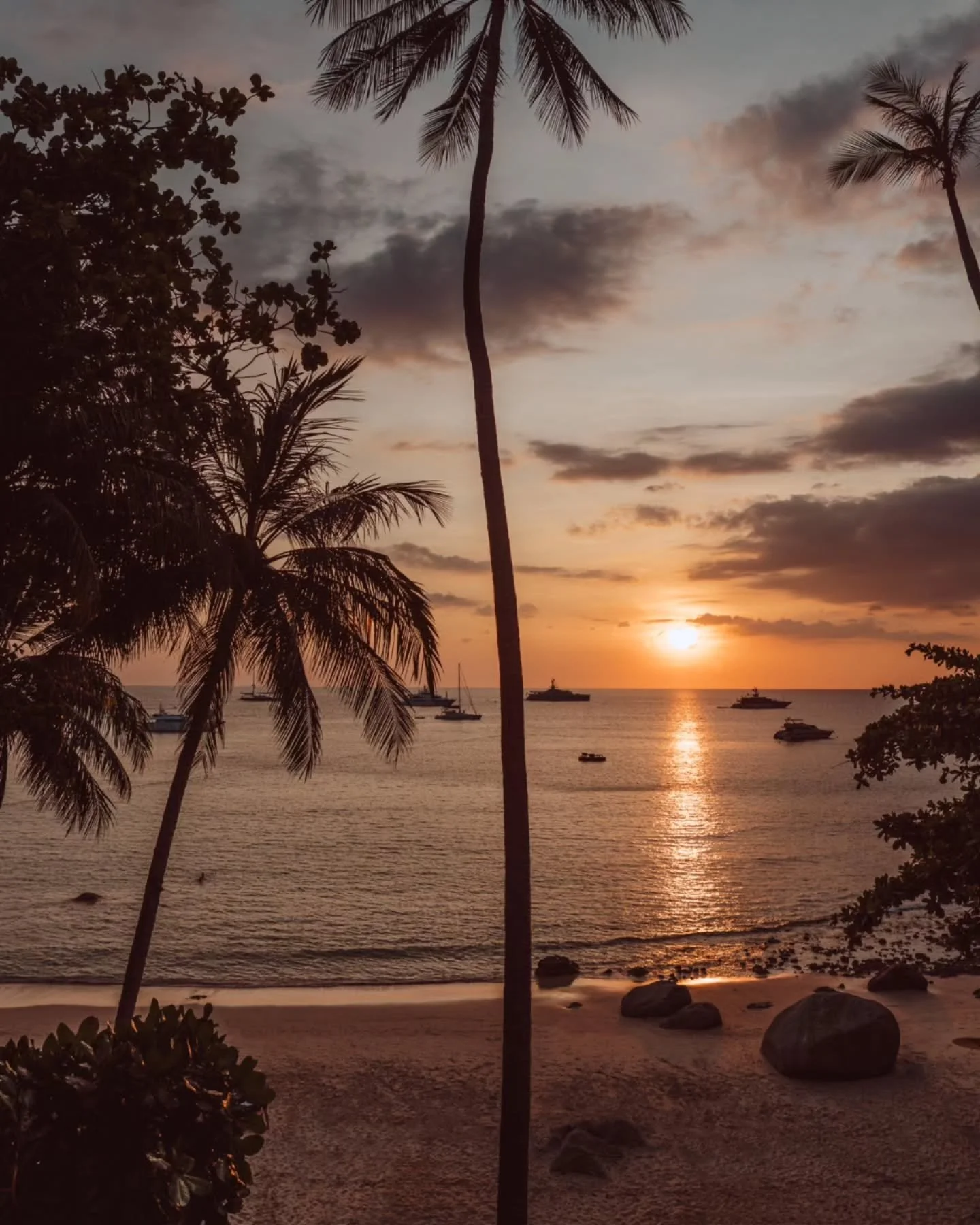 Golden hour in Phuket &mdash; where swaying palms create an exquisite frame for the sublime Andaman Sea sunset.