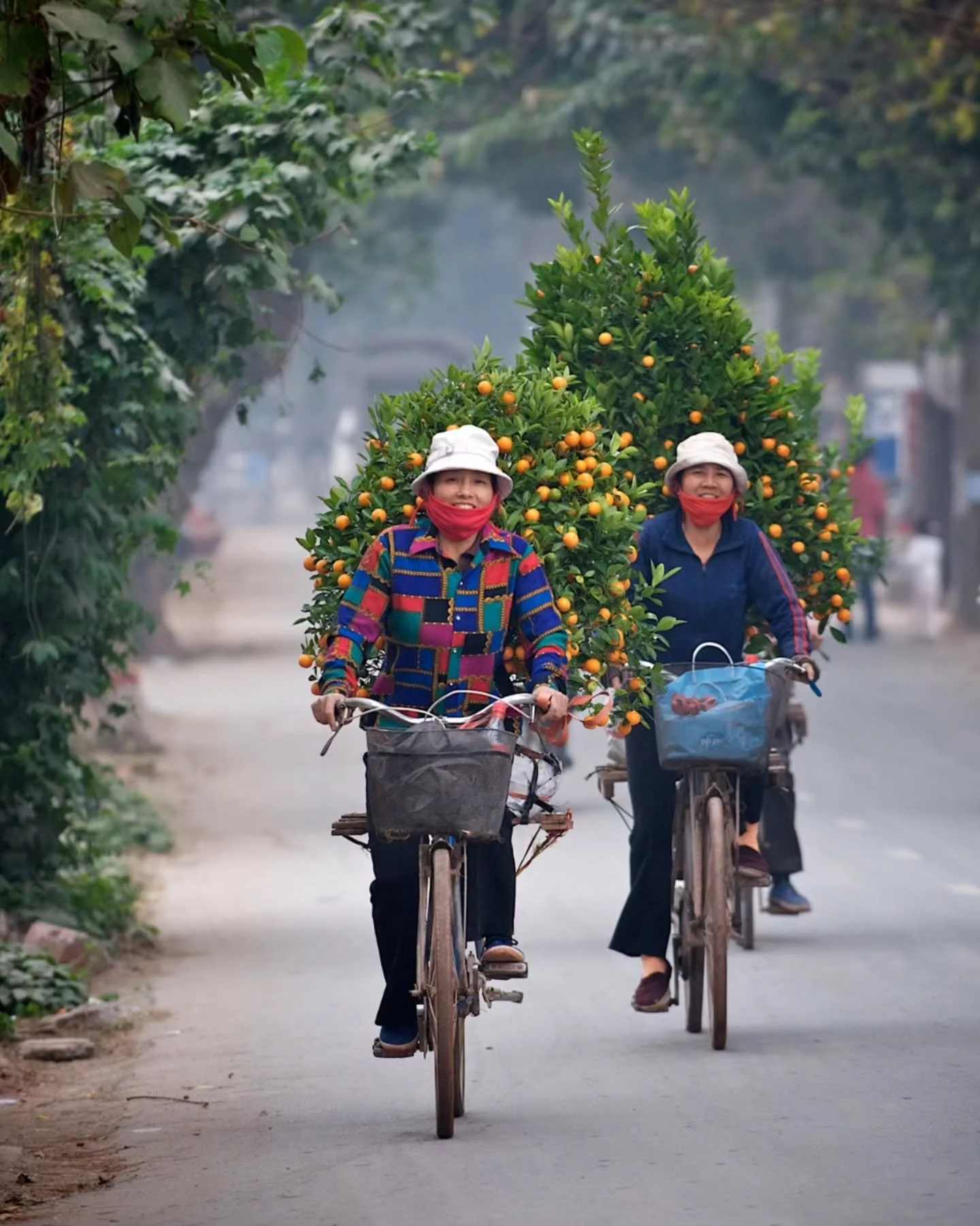 Everyday Vietnam &mdash; Where color, culture, and calm ride side by side.

www.carpeasia.com
Your Journey, Elevated