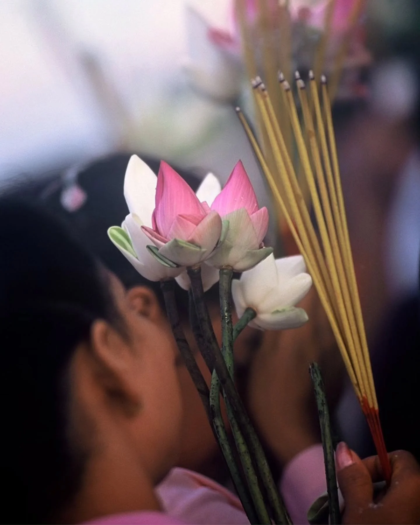 Offerings of peace. The delicate art of folding lotus flowers and the scent of incense always invite a moment of quiet reflection before stepping into the temple.

www.carpeasia.com
Your Journey, Elevated