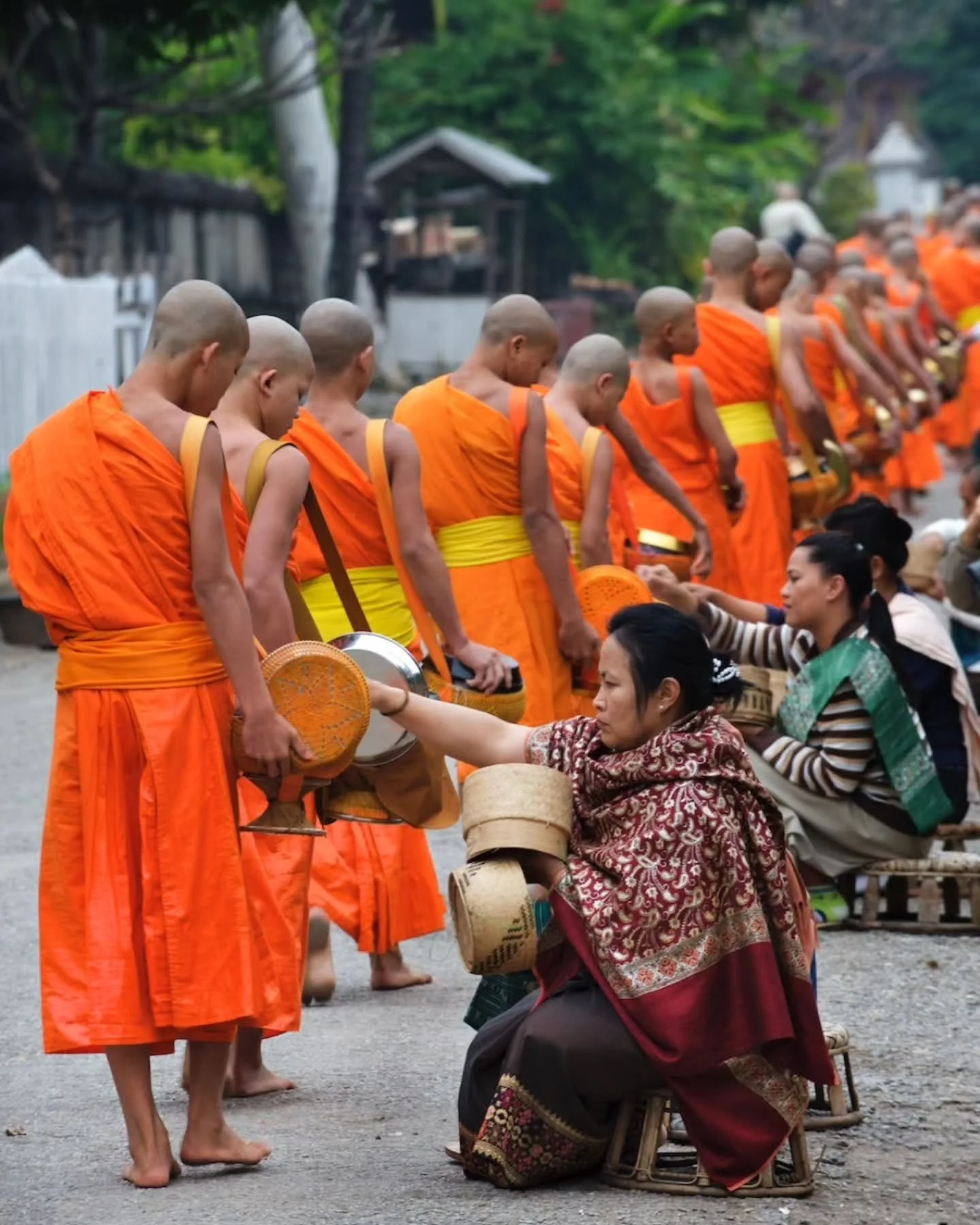 Walking the path of peace.

www.carpeasia.com
Your Journey, Elevated