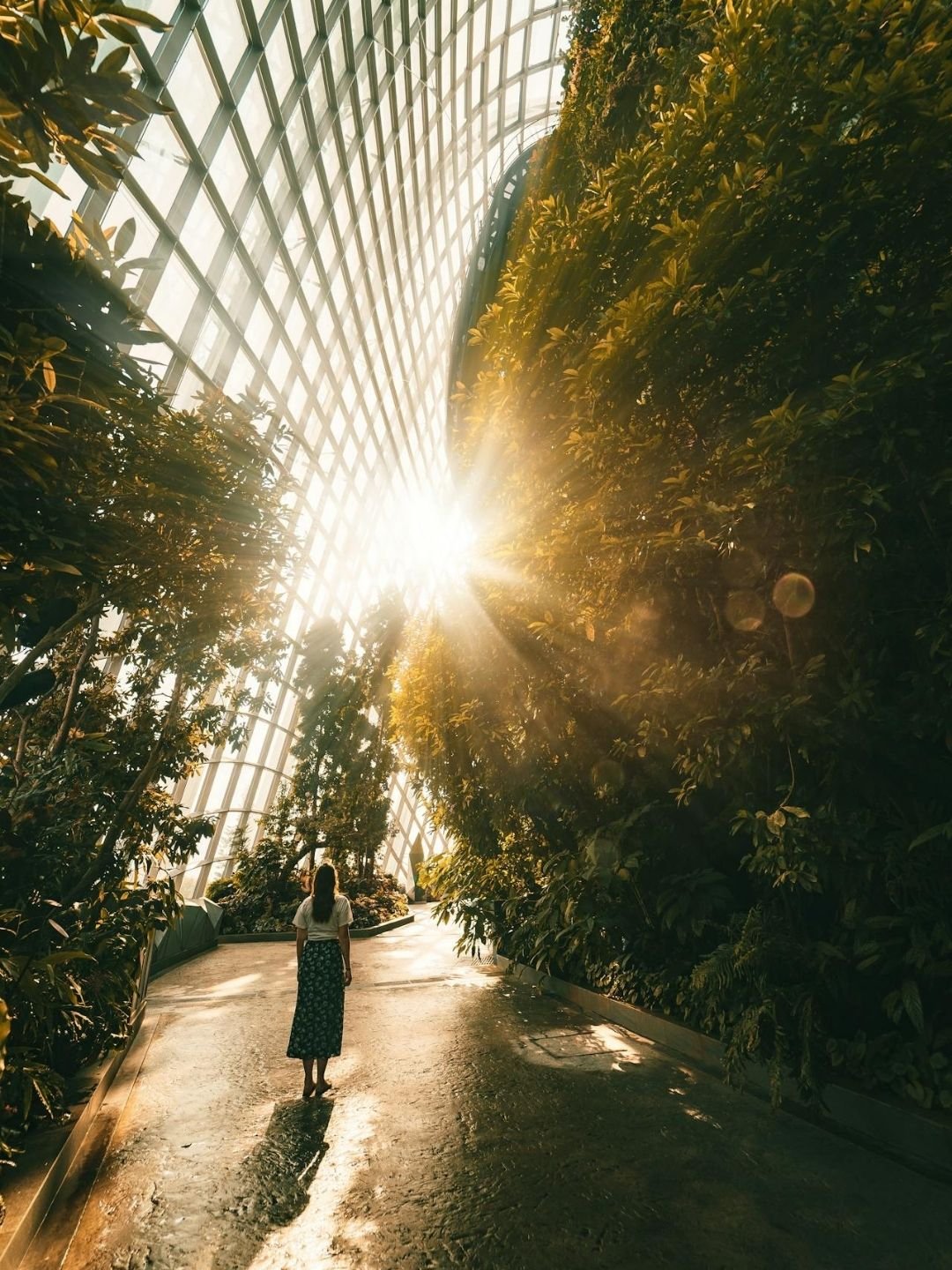 Traveler walking along a lush sunlit pathway inside the glass architectural conservatory at Gardens by the Bay, Singapore.