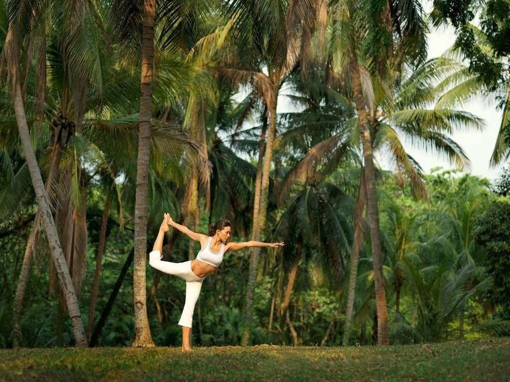 A woman in white athletic clothing performs a yoga pose in a tropical forest with tall palm trees.