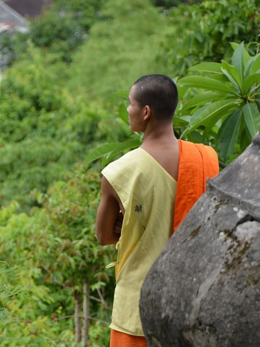 Young Buddhist monk in saffron robes looking out over lush mountain greenery in Luang Prabang, Laos.
