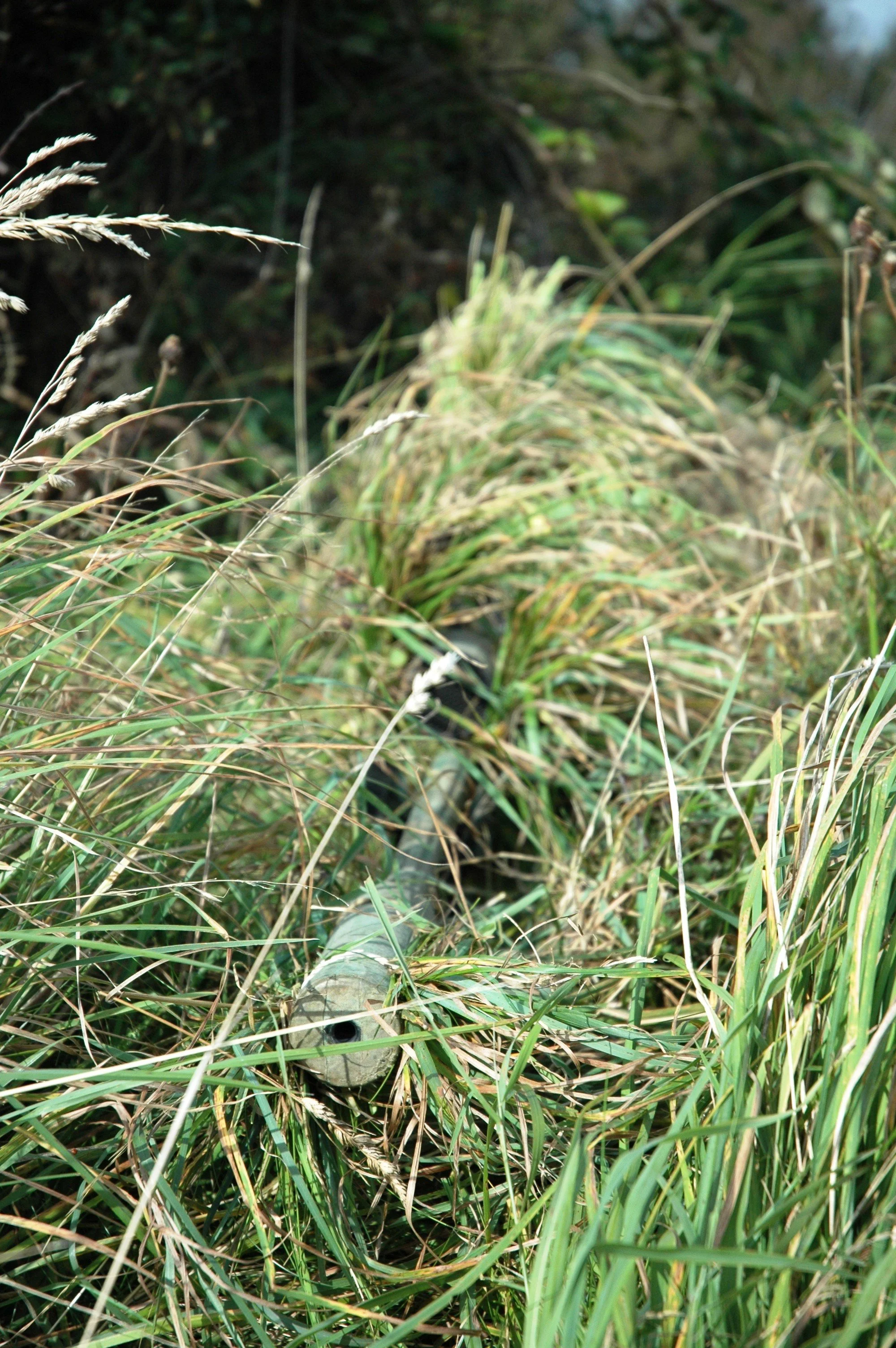 L115A3 Cam Stalk.jpg