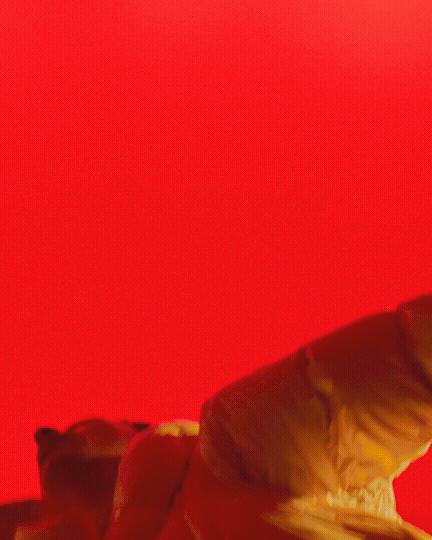 DZD_MON_Film_3_Release_5_h264_4x5.gif