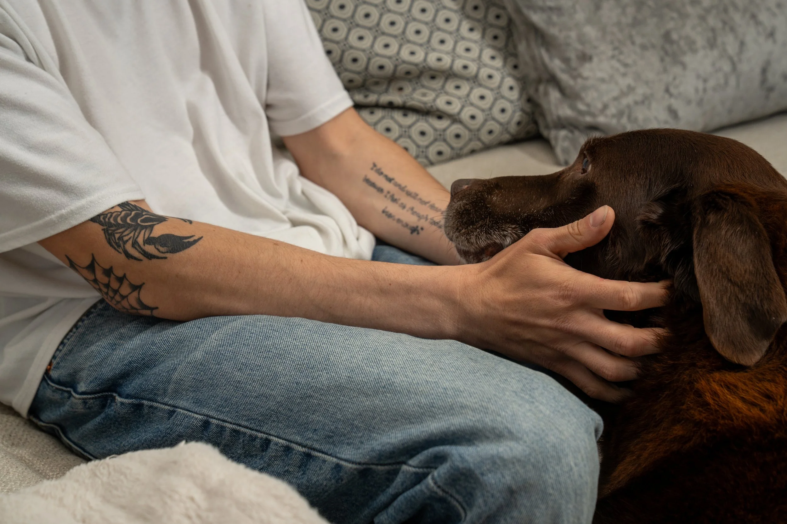 Person with tattooed arms sitting on a couch, gently holding a brown dog’s face as they look at each other.