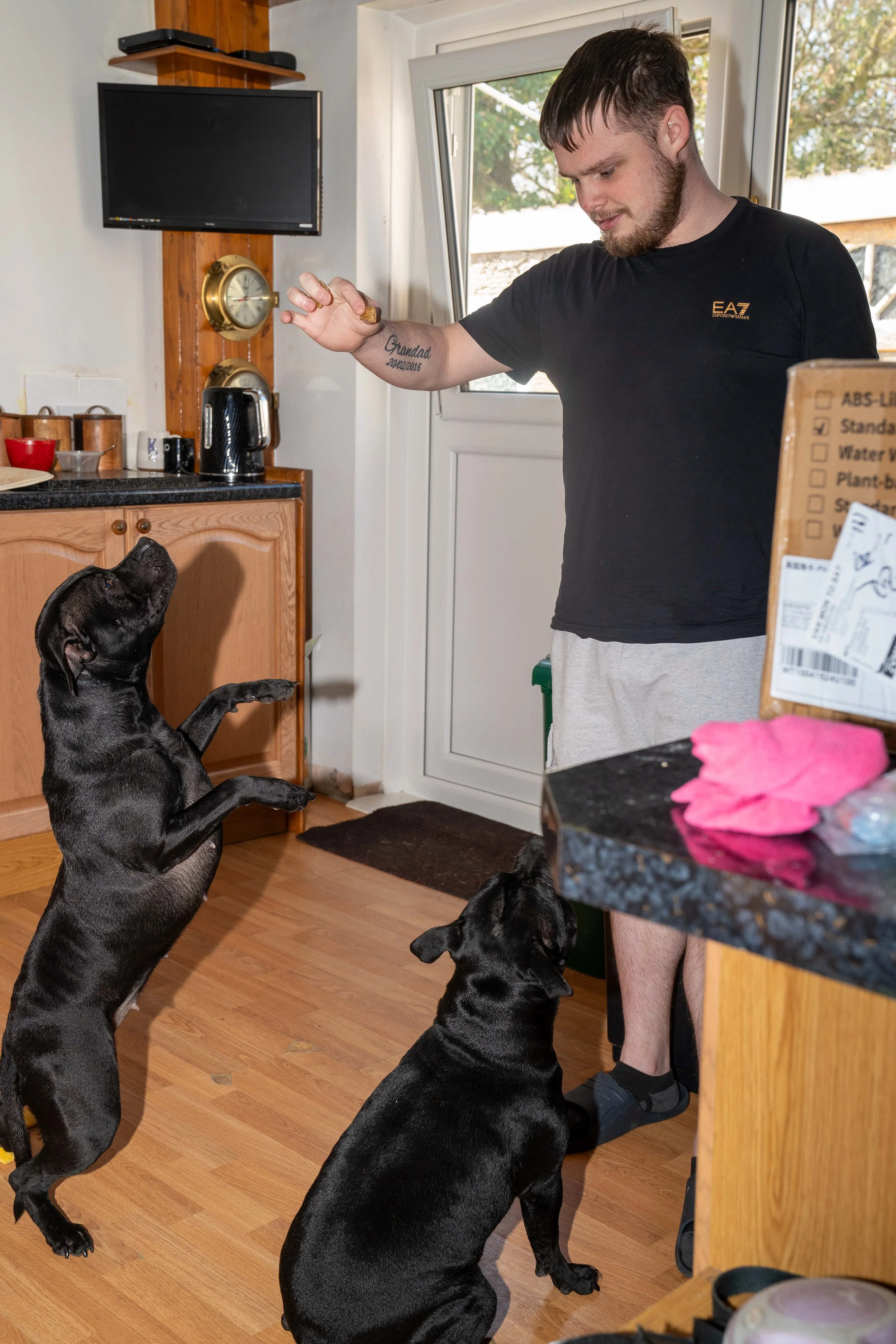 A man standing in a kitchen engaging with two black puppies, one of which is jumping up toward his hand, while the other sits on the floor. The man is holding a treat or toy in his hand, and there are kitchen cabinets, a toaster, and a window in the 
