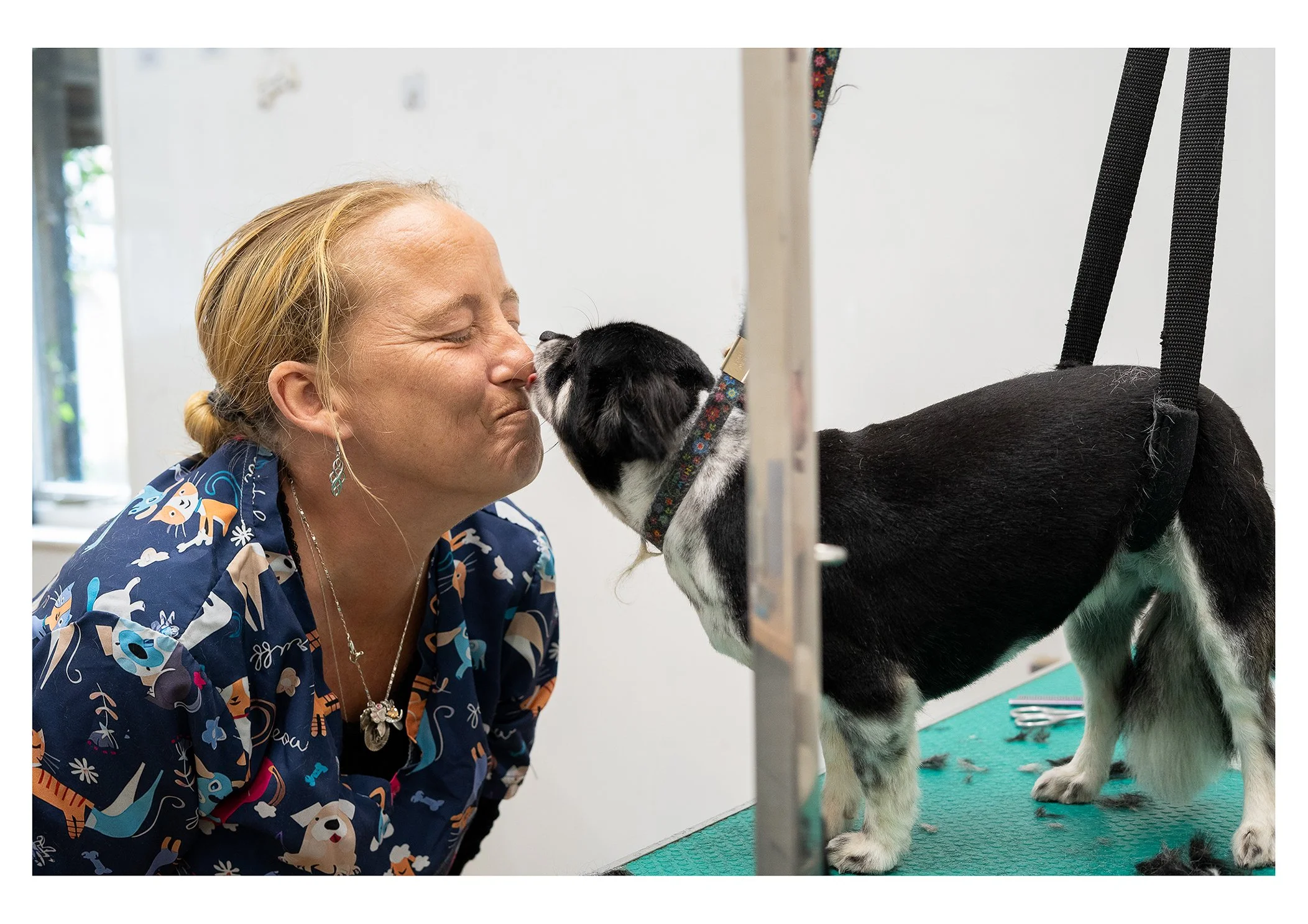 A woman with blonde hair and a blue patterned shirt is nose to nose with a small black and white dog on a grooming table, both appearing to enjoy a close moment at a pet grooming facility.