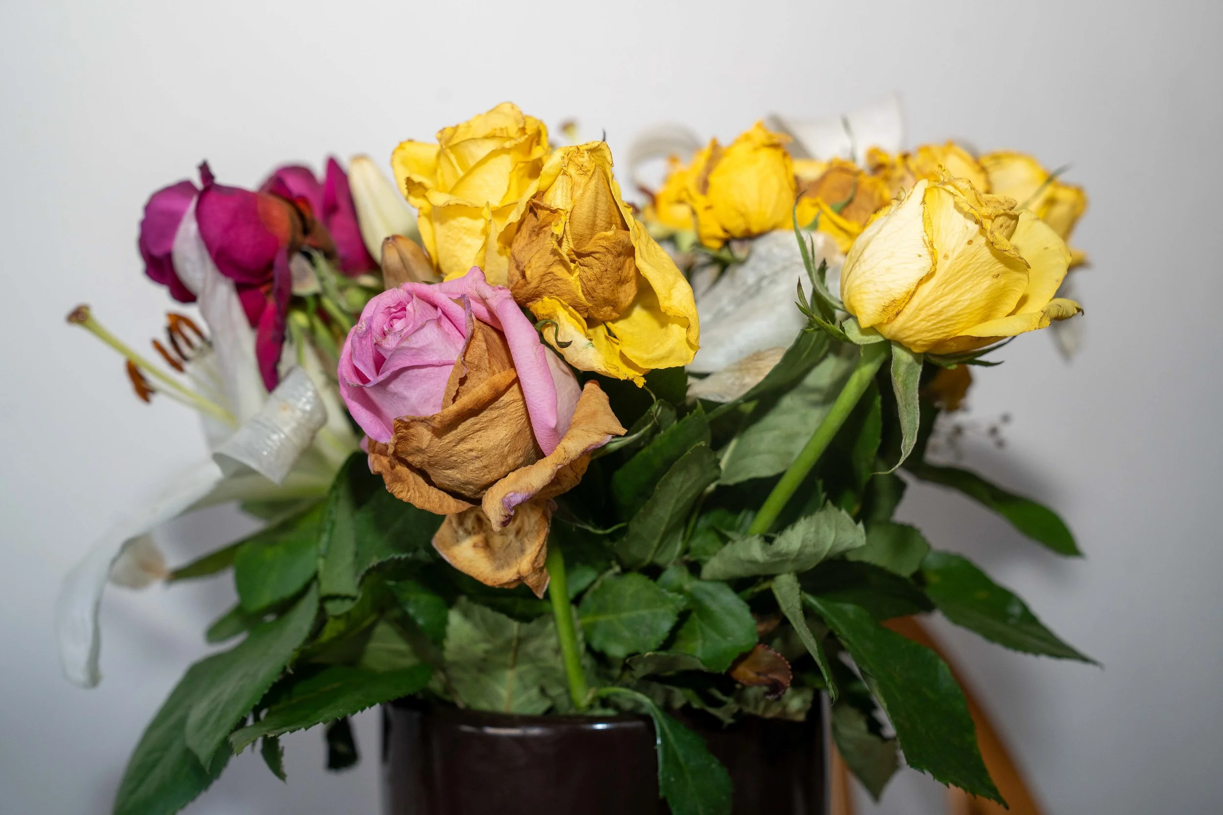 A bouquet of wilted, partially dried roses in pink, yellow, white, and purple, in a black vase