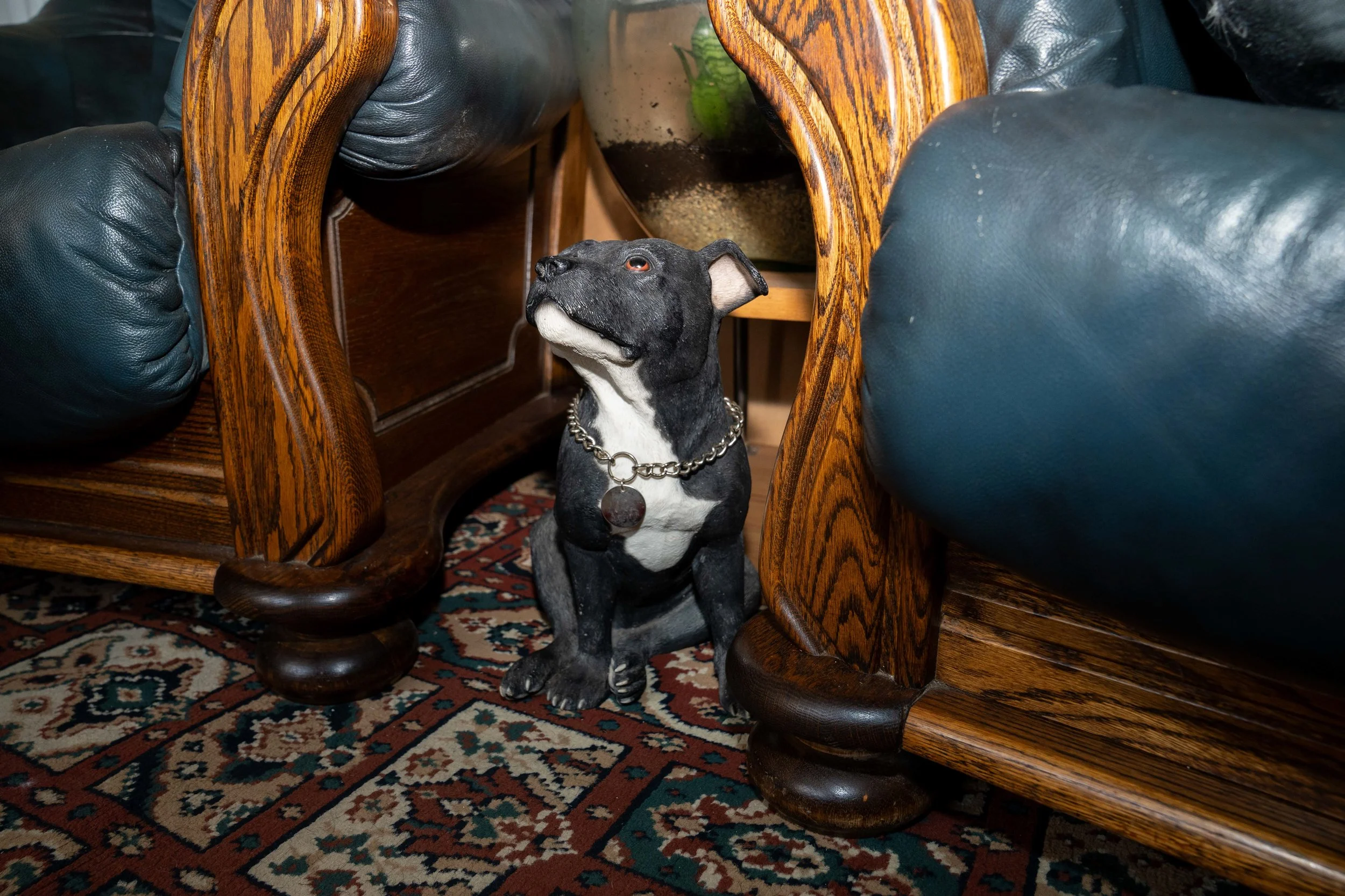 A black and white dog statue with a chain collar is positioned between two wooden chairs with dark leather cushions, on a patterned rug.