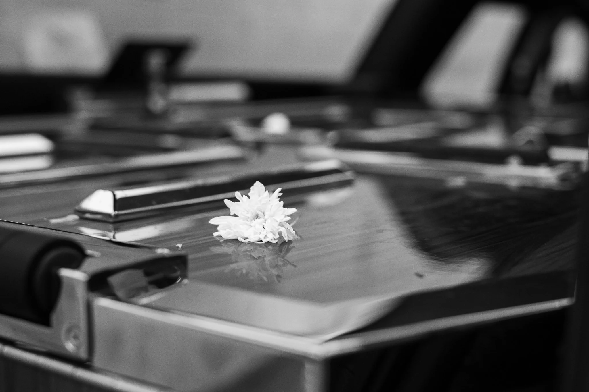 A single white flower resting on an upright piano's glossy surface, reflected in the reflection of the flower.