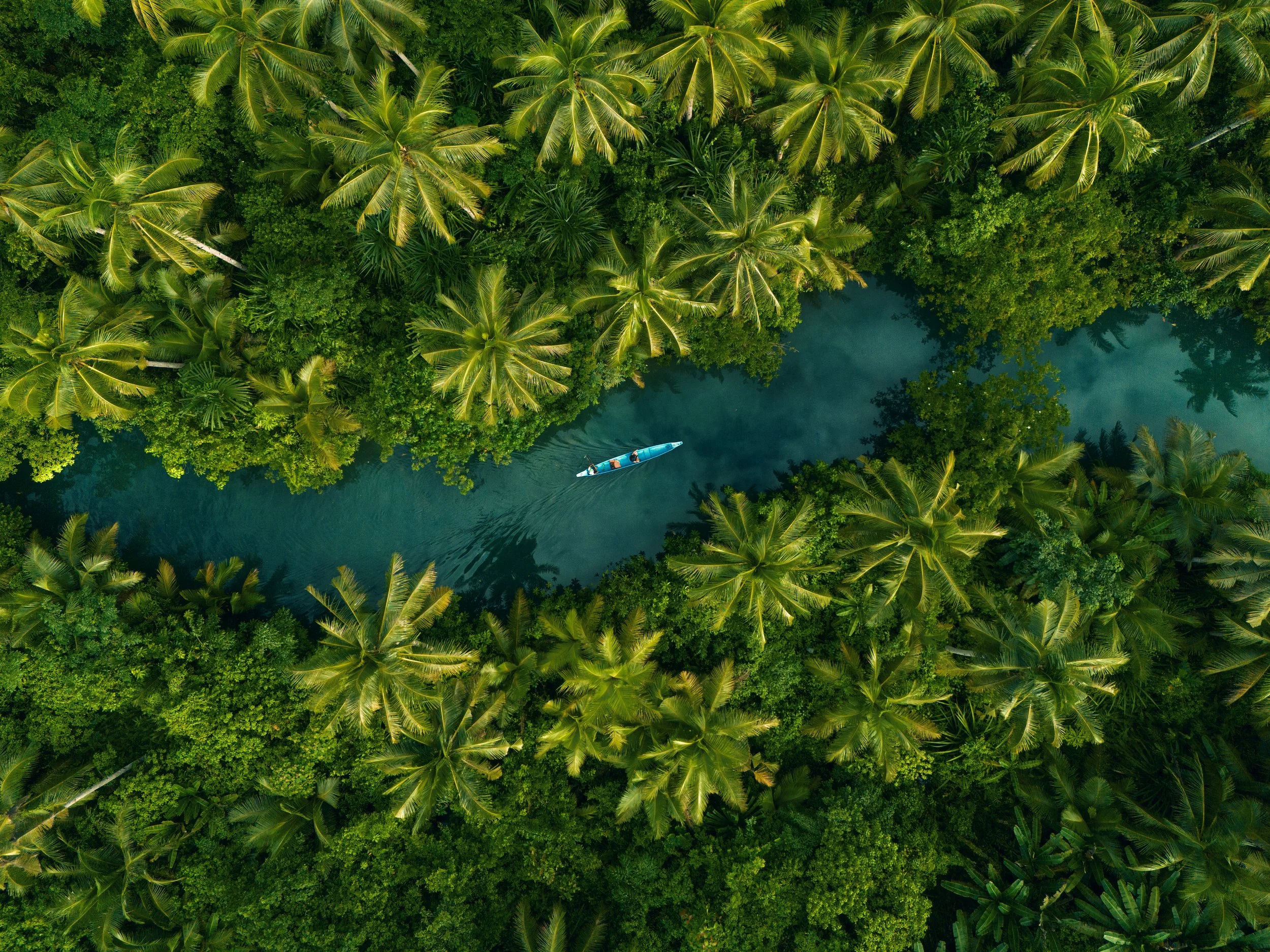 Aerial view of a lush tropical rainforest with a narrow river running through it, and a small boat with two people paddling on the river.