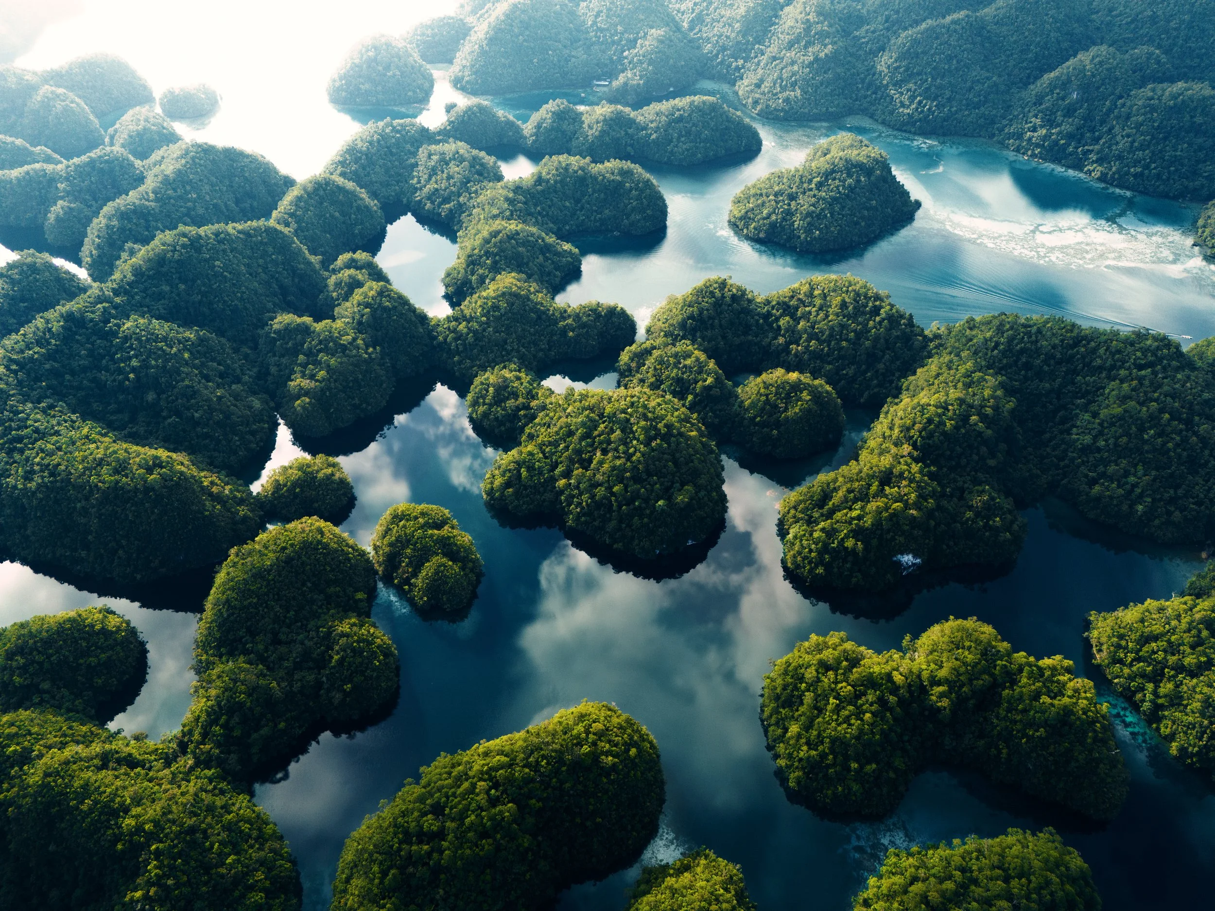 An aerial view of a river delta with numerous small, lush green islands surrounded by calm water, reflecting the sky and clouds.