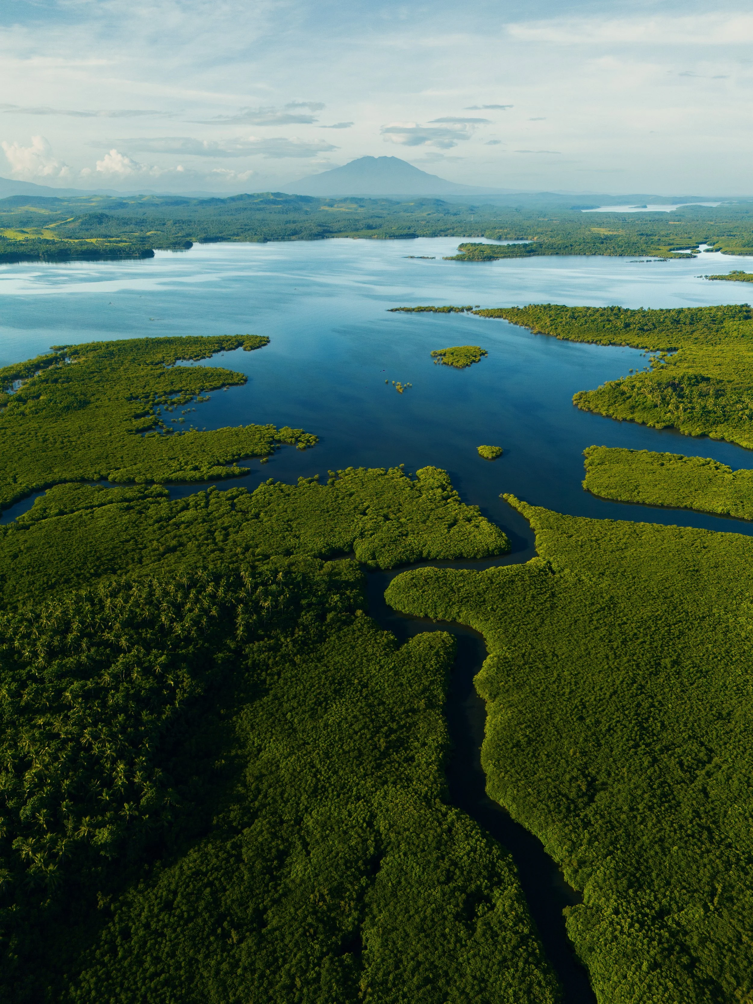 Aerial view of a lush green mangrove forest with winding waterways and a large lake, with mountains in the distance under a cloudy sky.