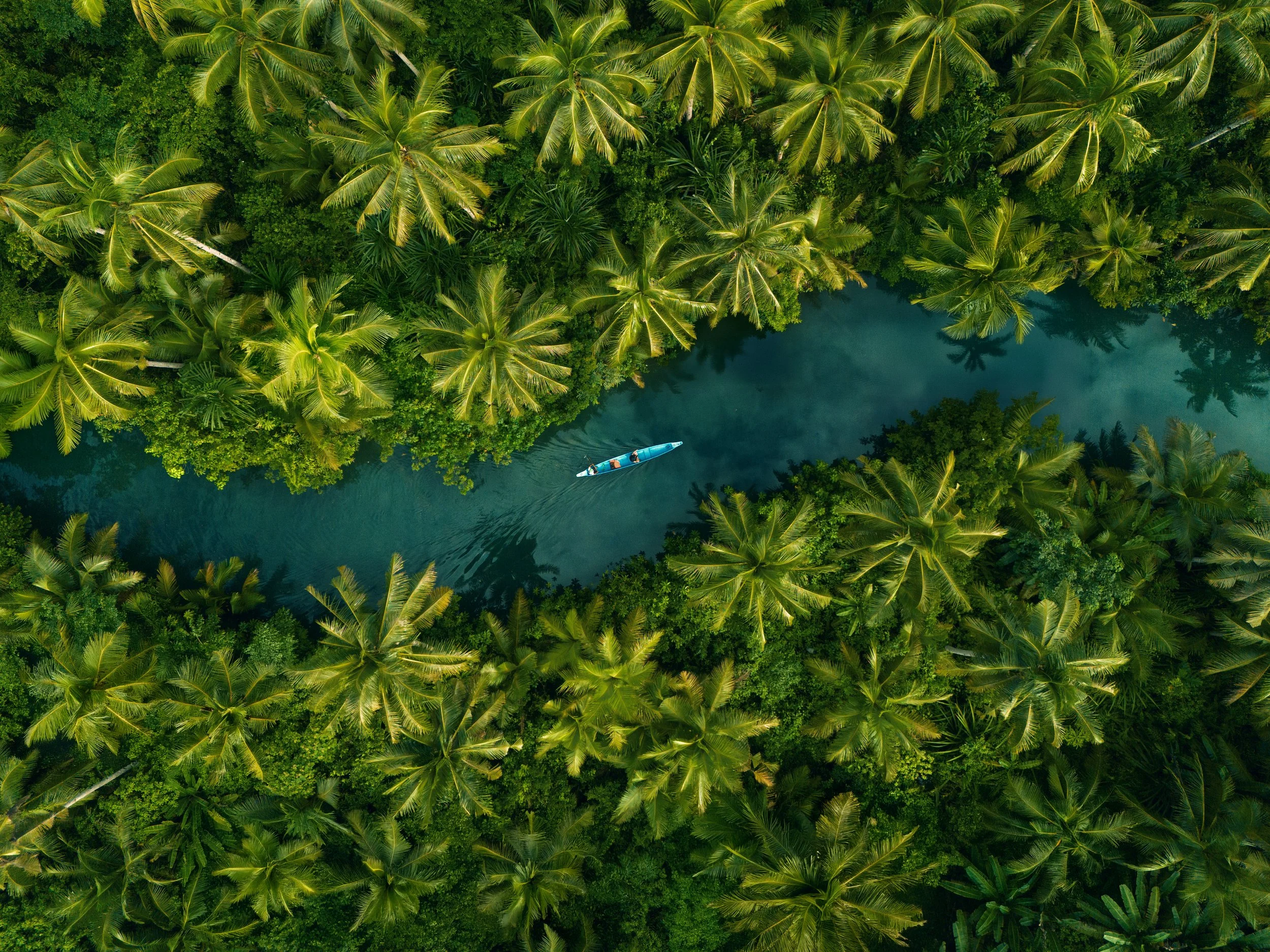 DJI_20250614072903_0421_D editef.jpg