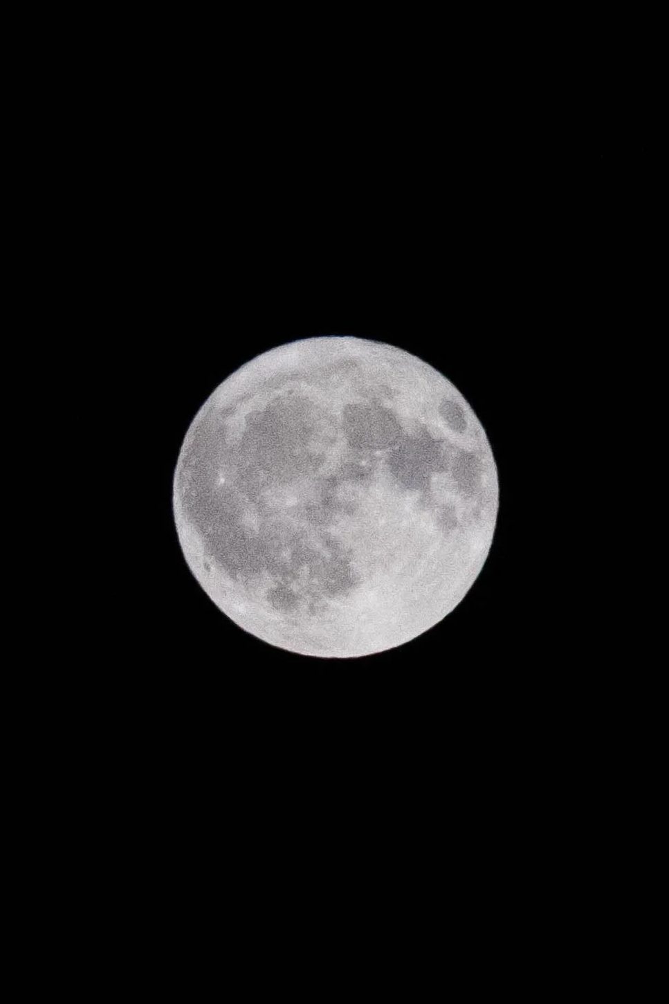 Une pleine lune dans un ciel noir sans nuages.