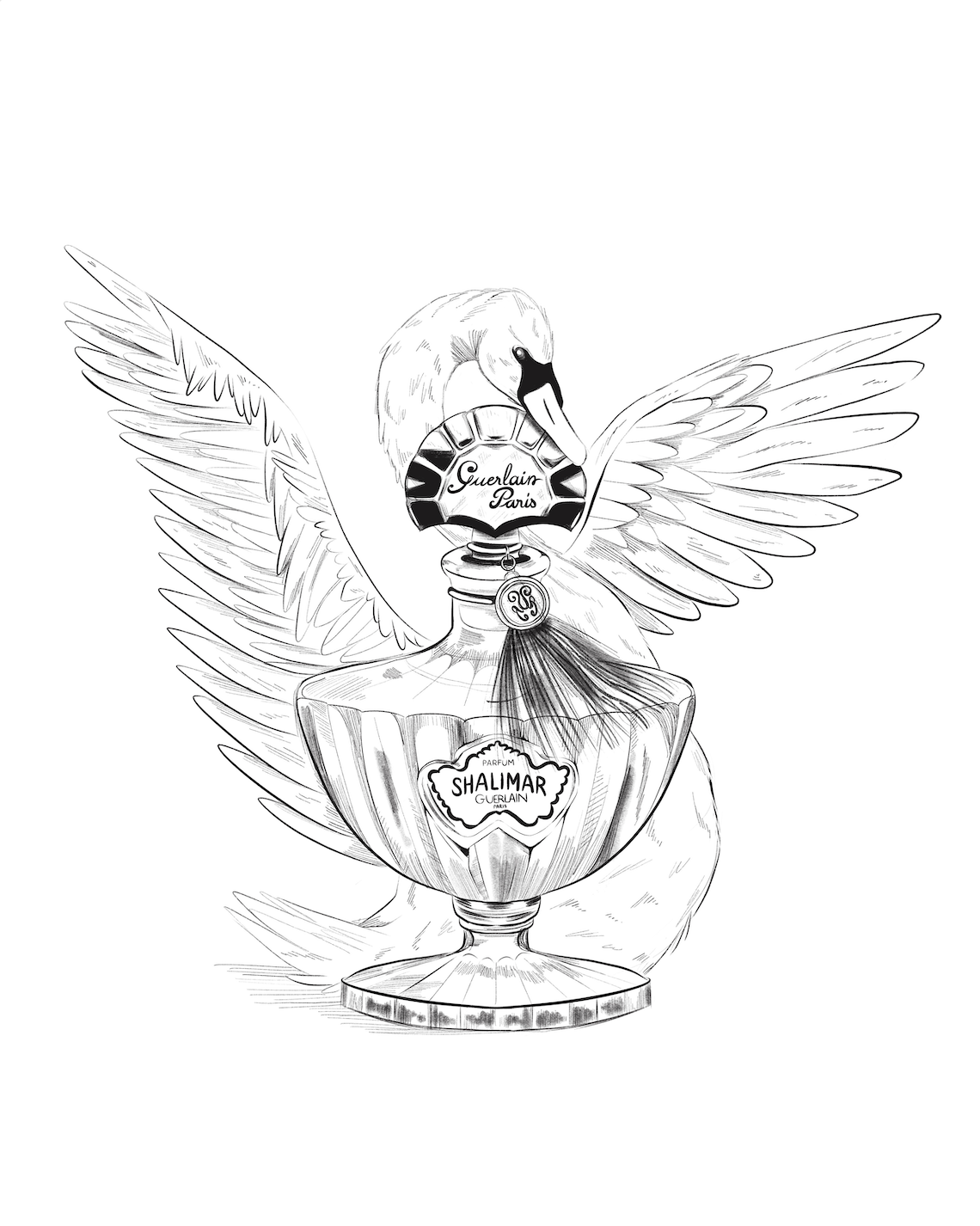 perfume-luxury-product-illustrator-clara-bergoend.png