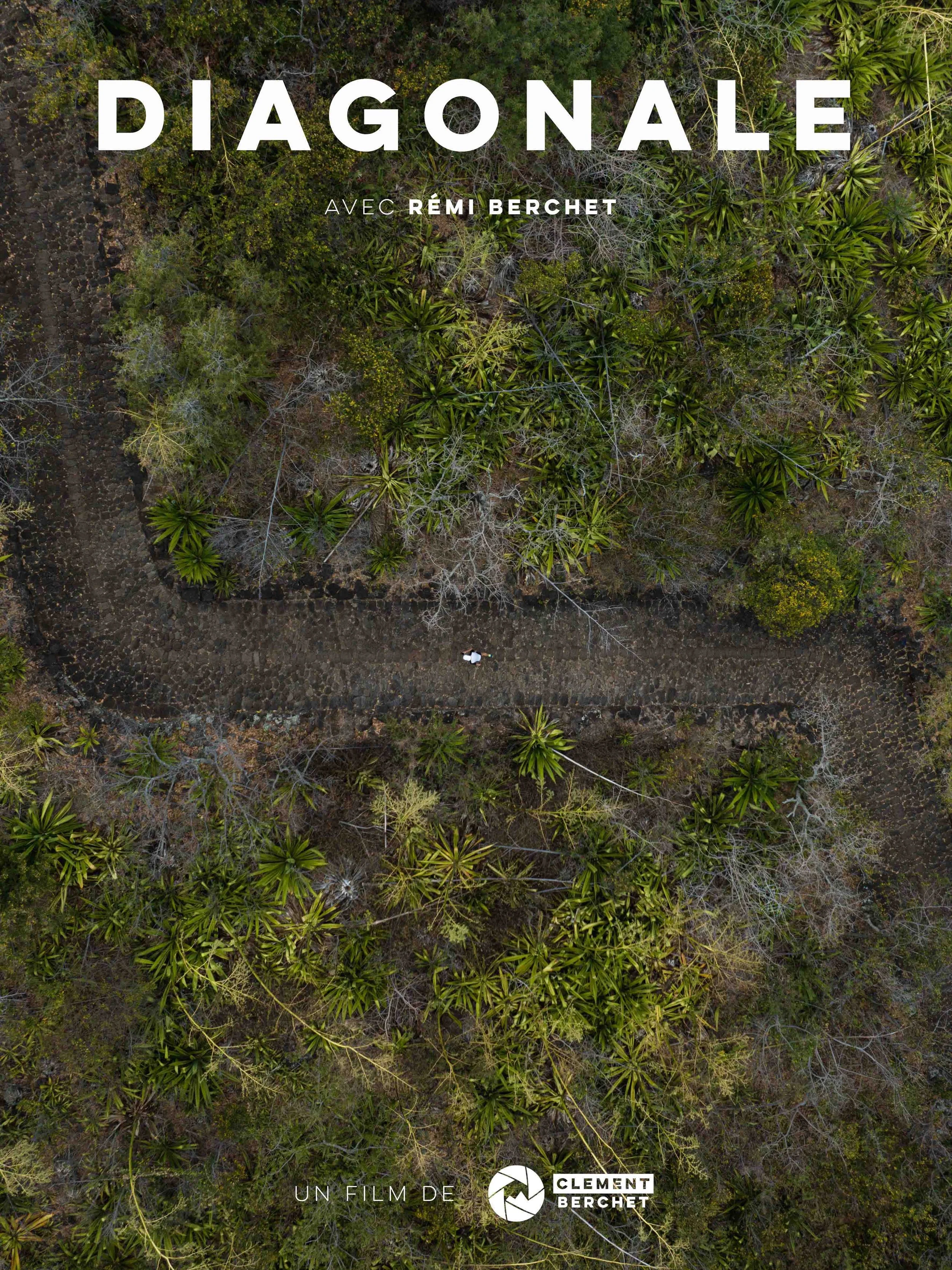 Affiche Diagonale 3_4.jpg