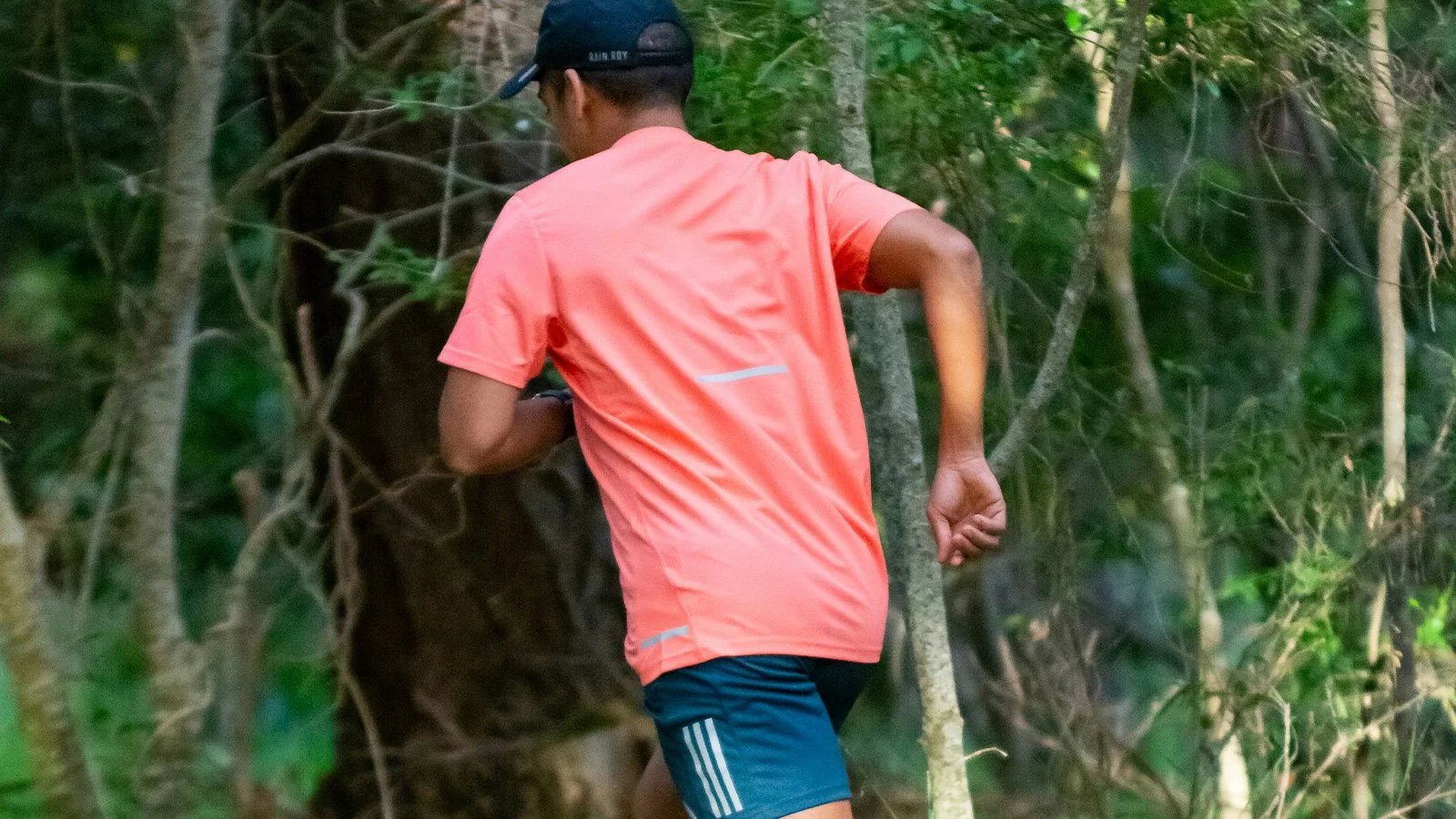 15 séances pour progresser en trail