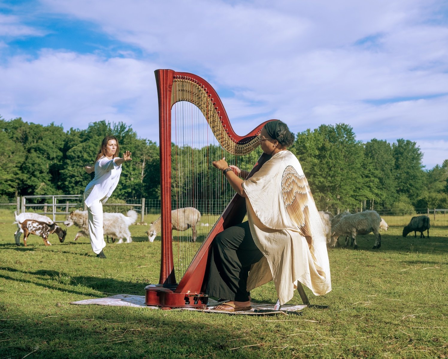 image of woman playing harp and a women in the background doing yoga surrounded by animals