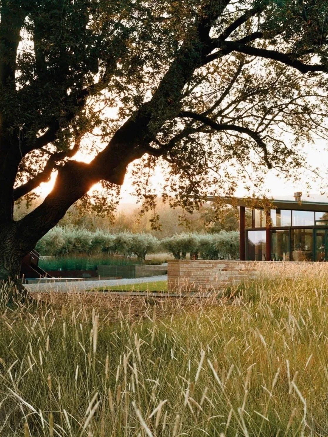 Private vineyard estate at Stone Edge Farm during an EMBODY small-group wine trip in Sonoma.