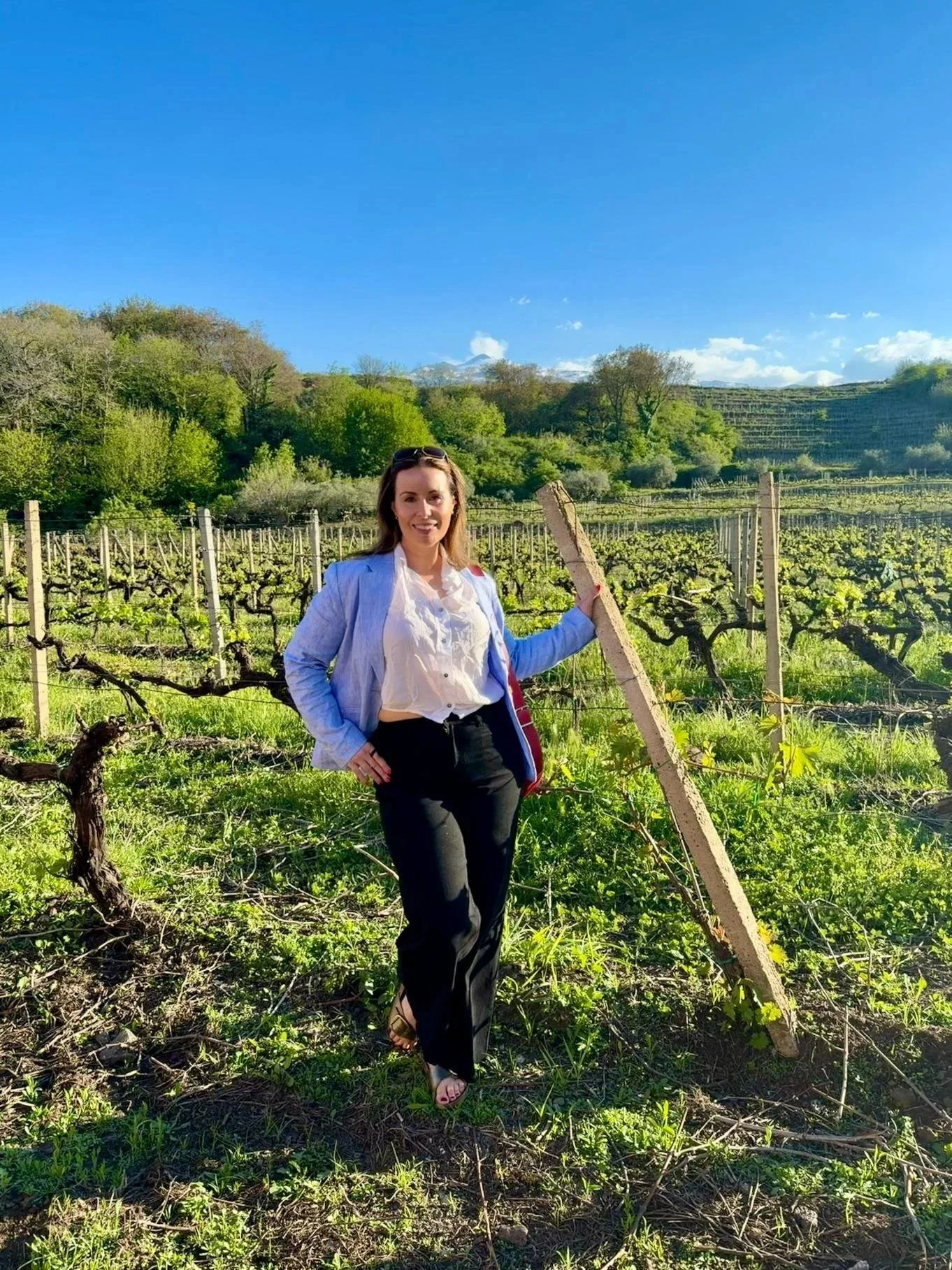 Standing in a vineyard on Mount Etna, Sicily