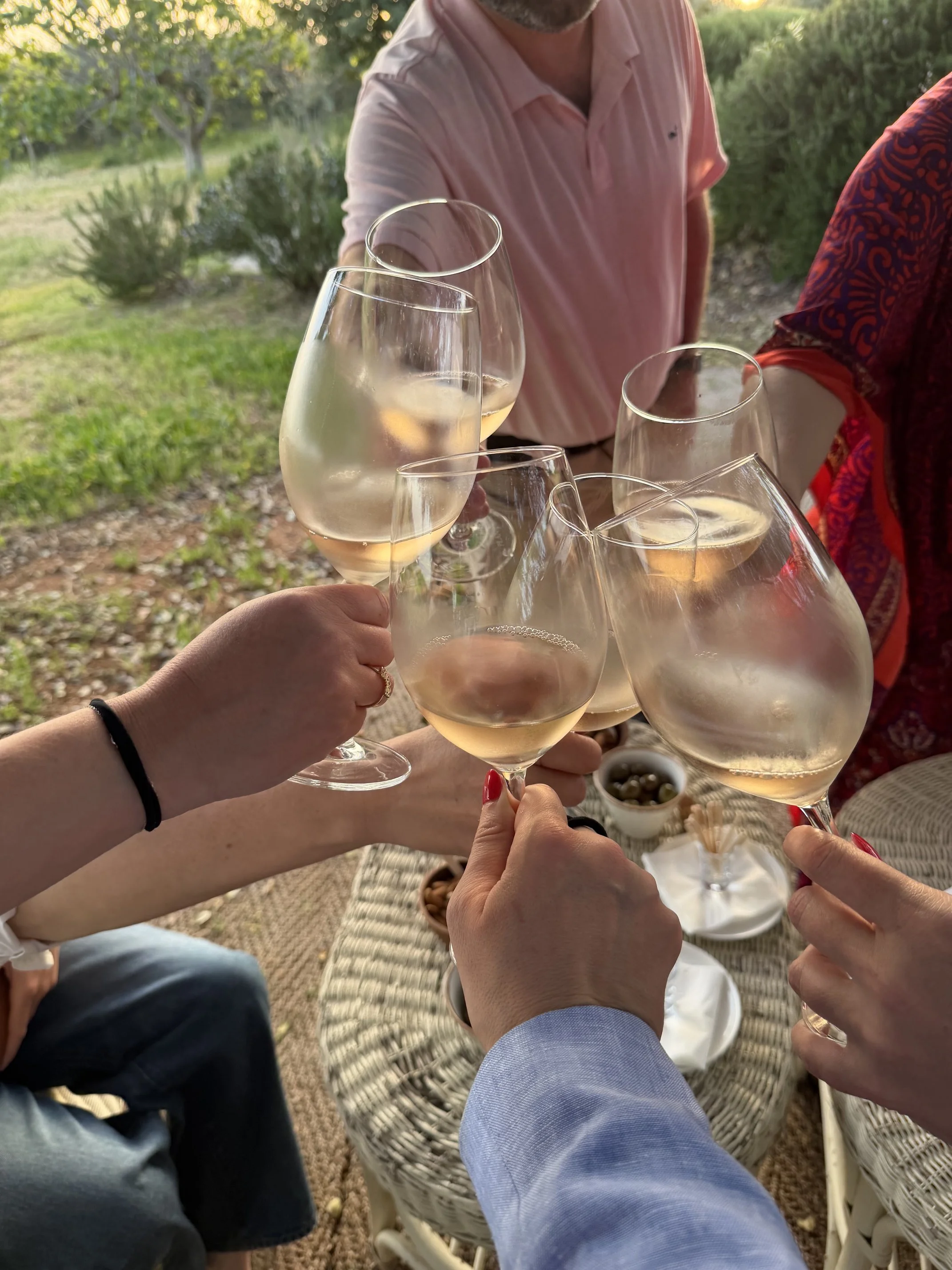 Friends raising glasses of wine during a shared wine tasting experience in Napa Valley.