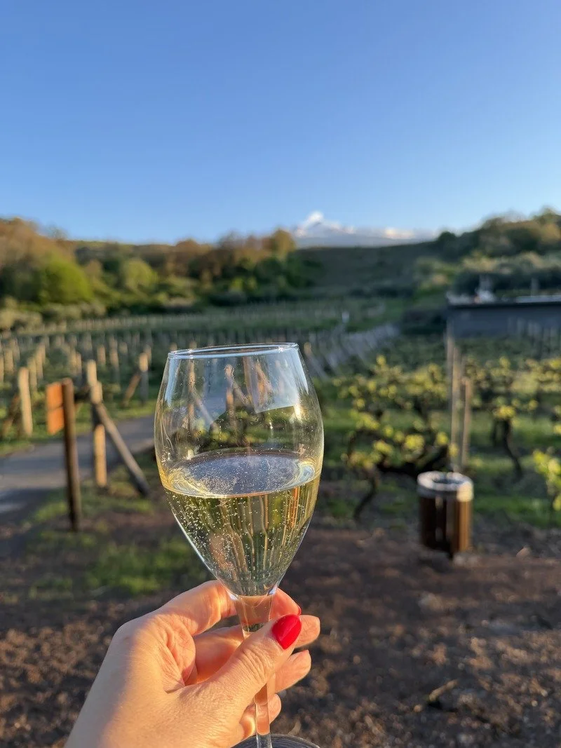 image of hand holding wine in front of vineyard