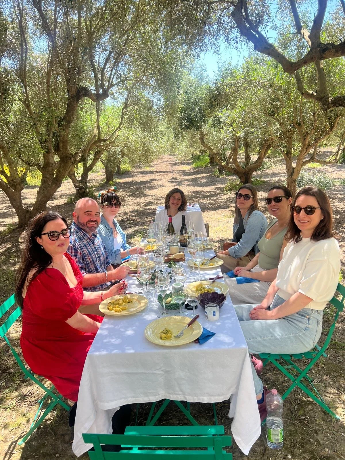 Small-group lunch in a Sicilian olive grove during an EMBODY food wine and cultural immersion trip